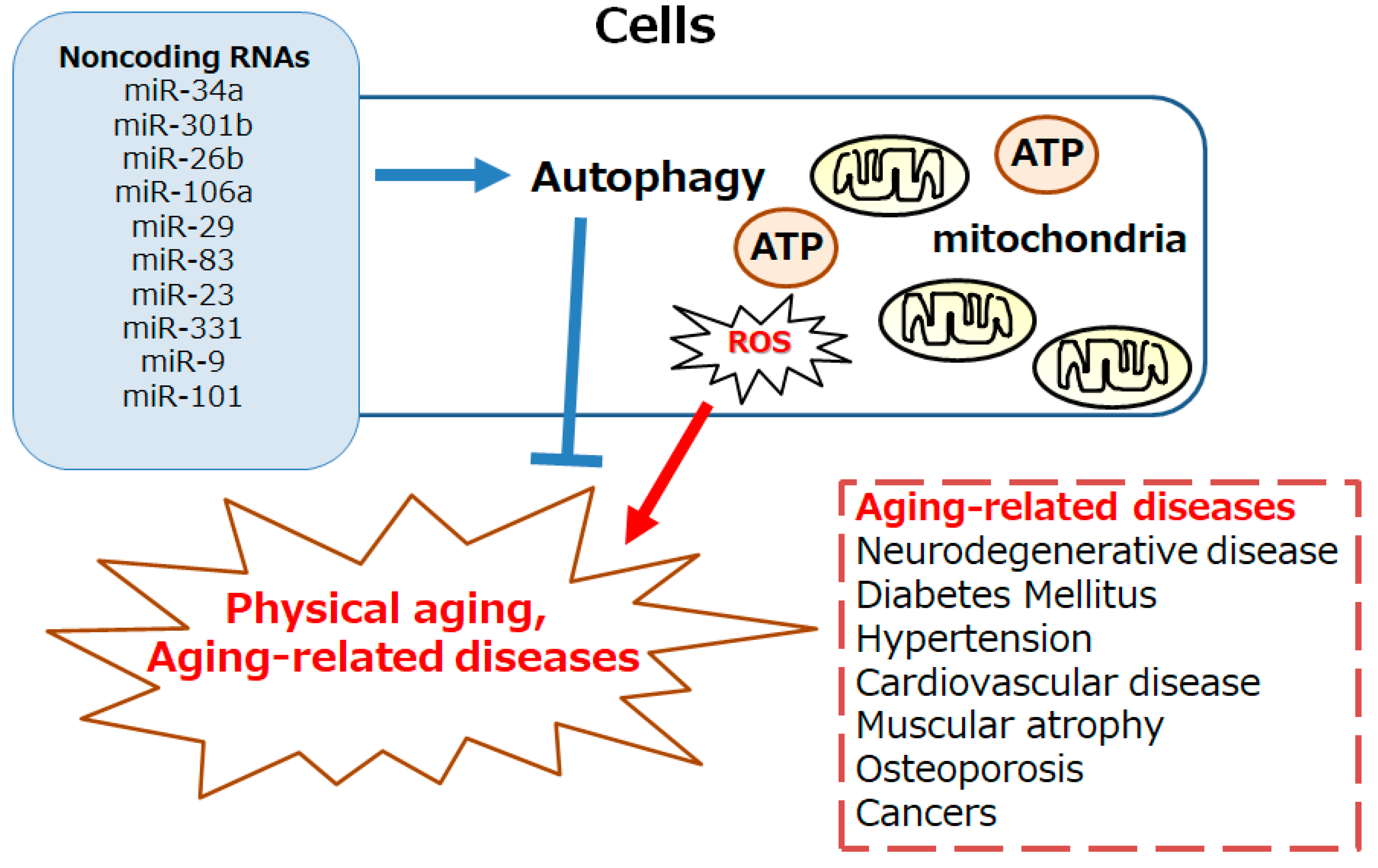 Preprints 142349 g001