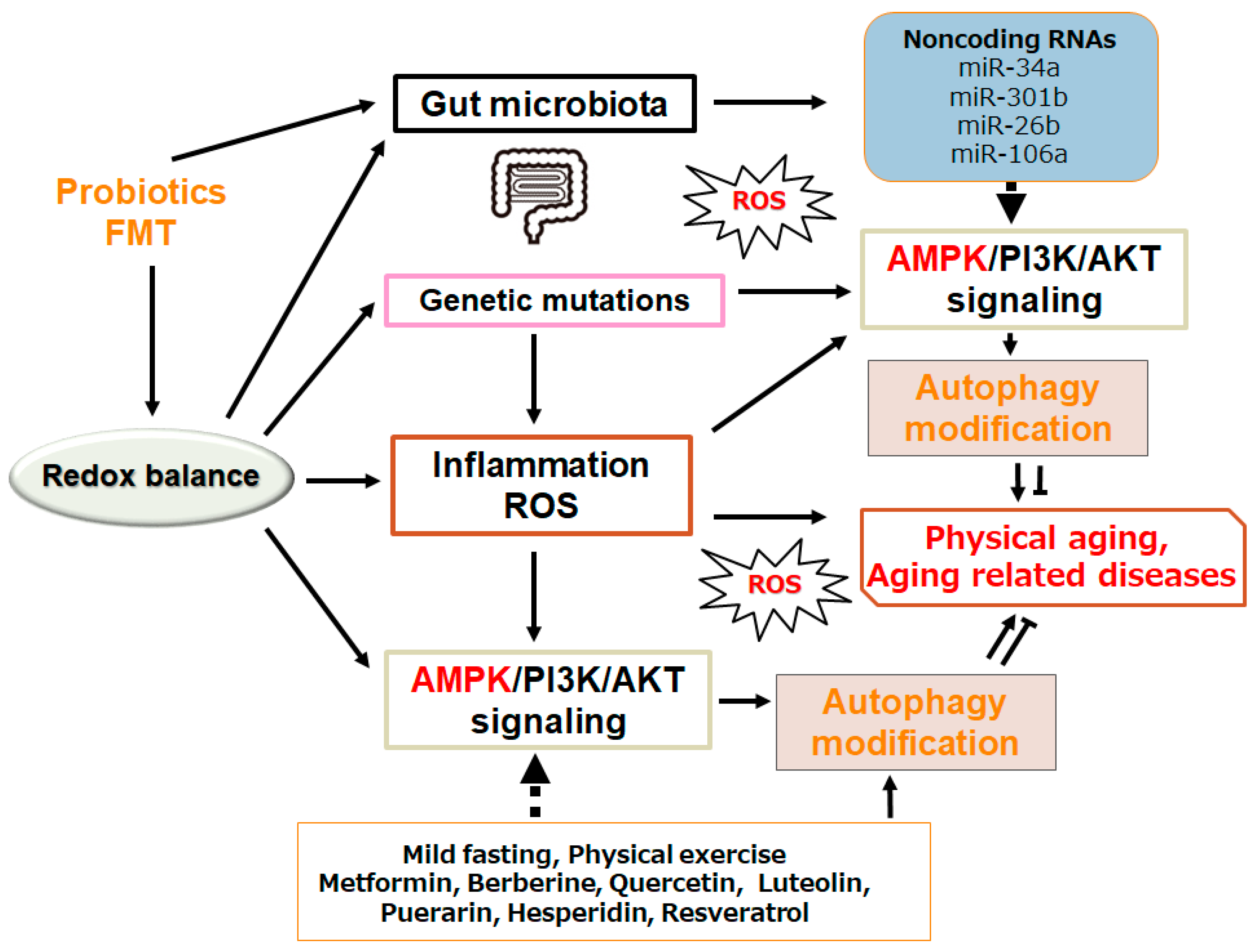 Preprints 142349 g003