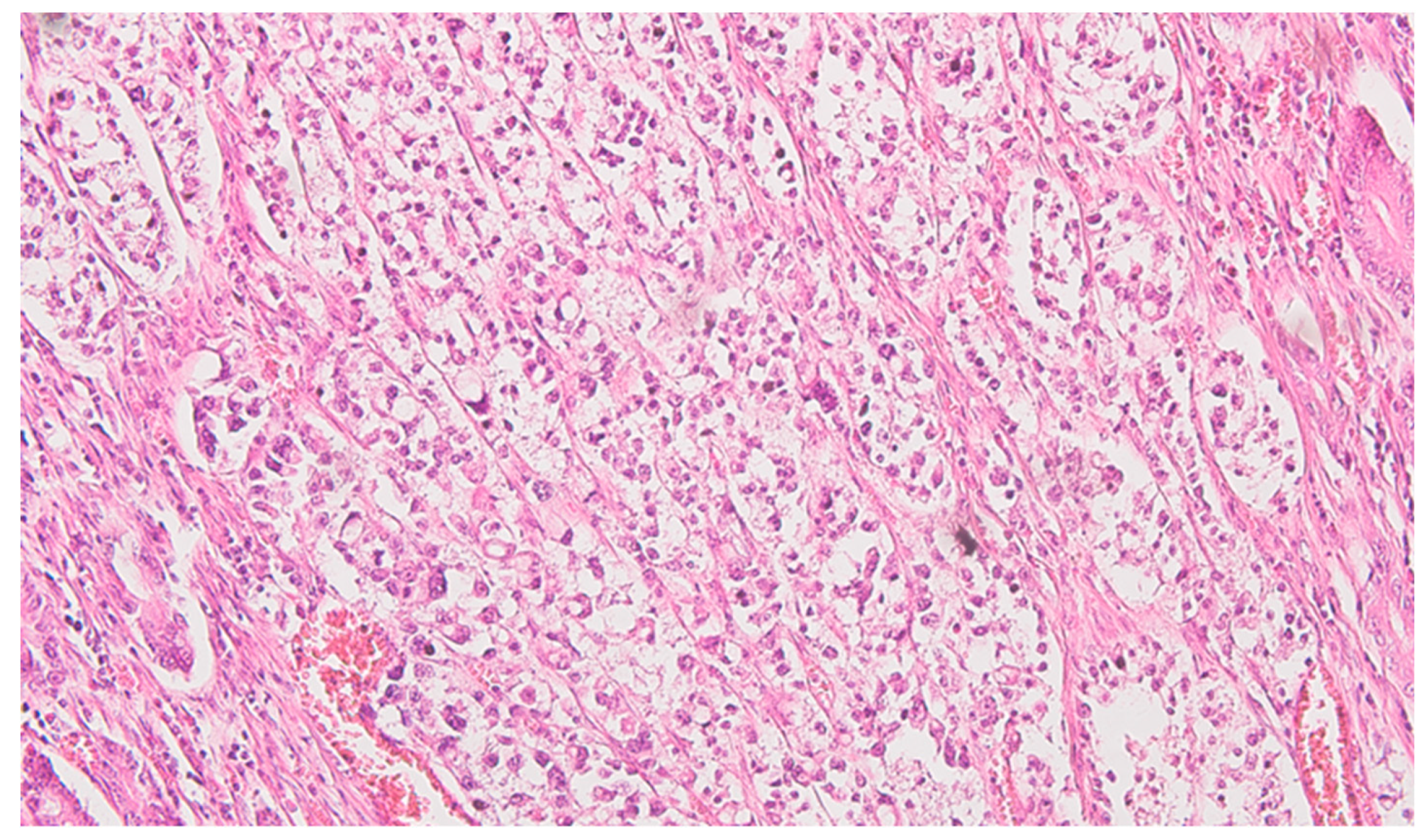 Preprints 89289 g001