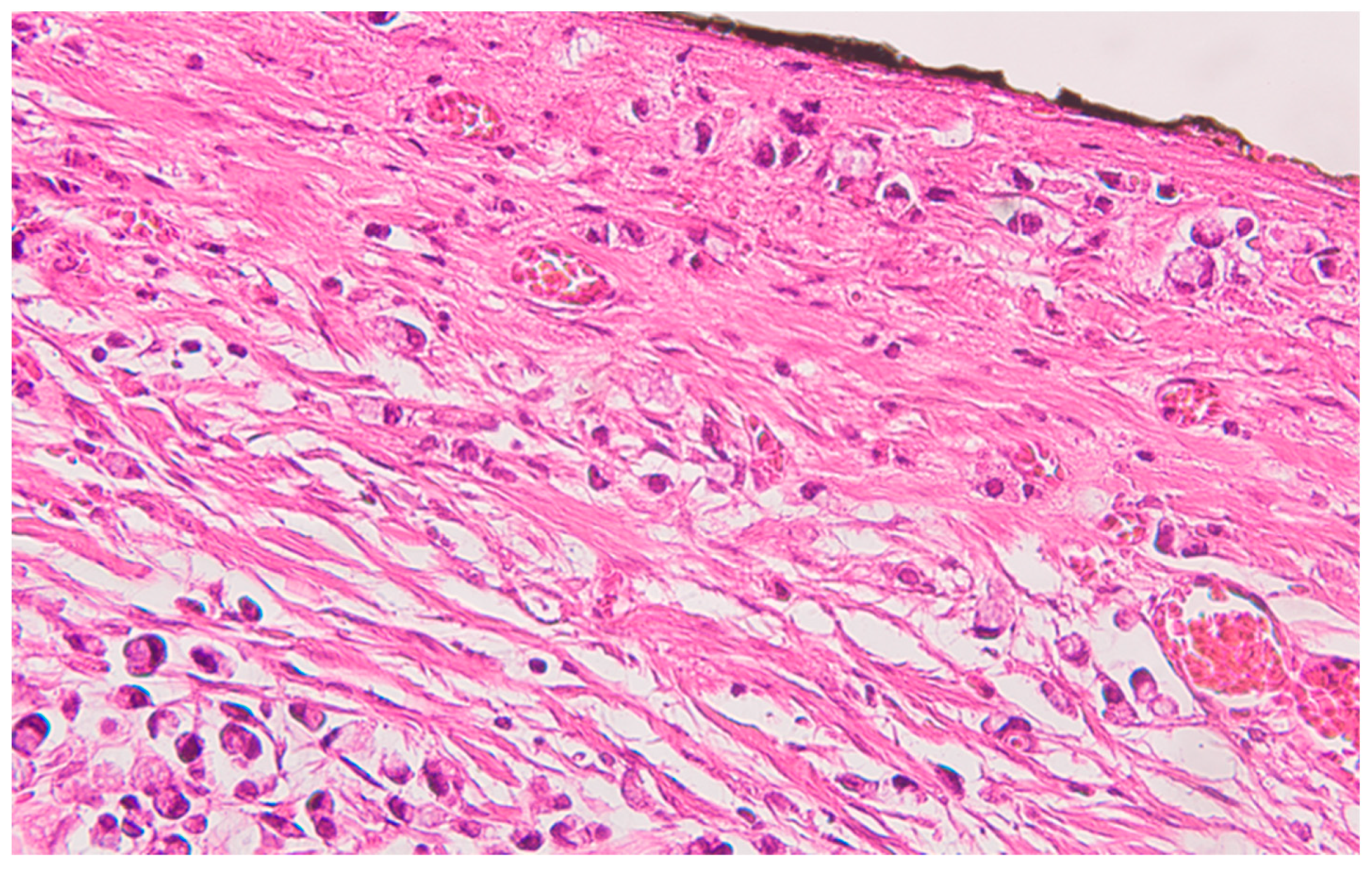 Preprints 89289 g002