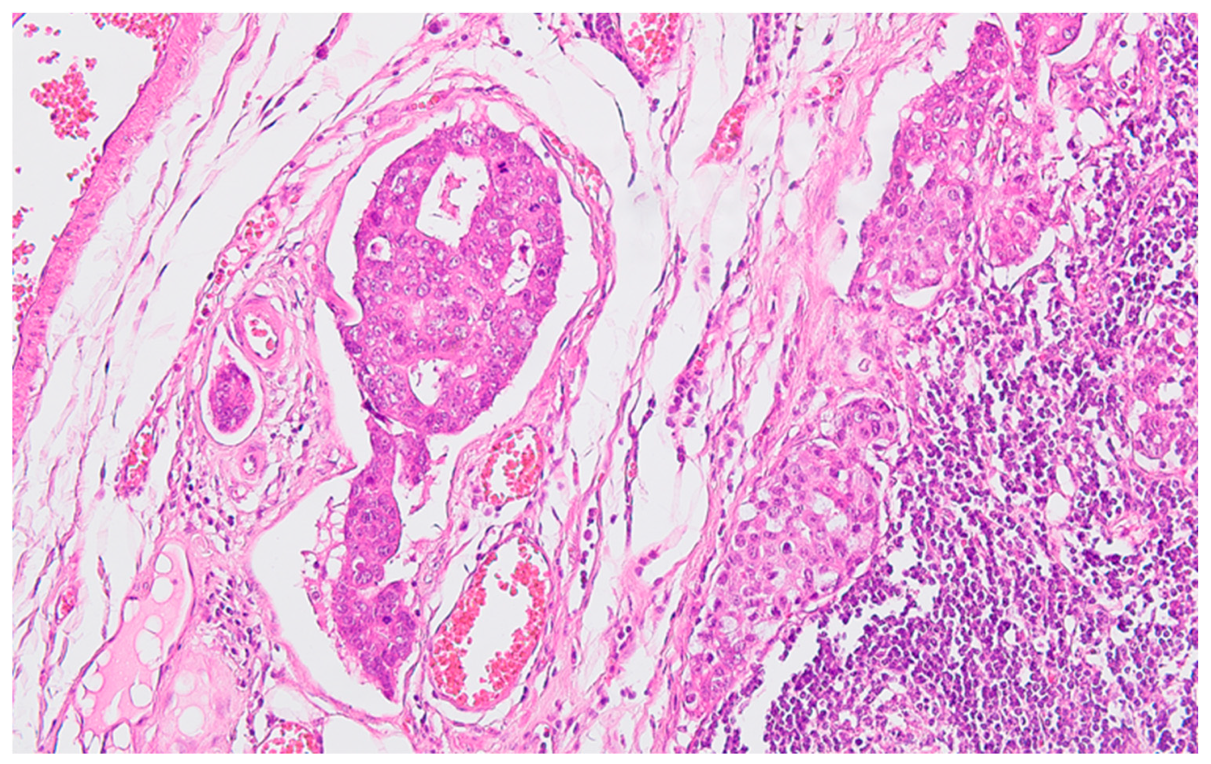 Preprints 89289 g003