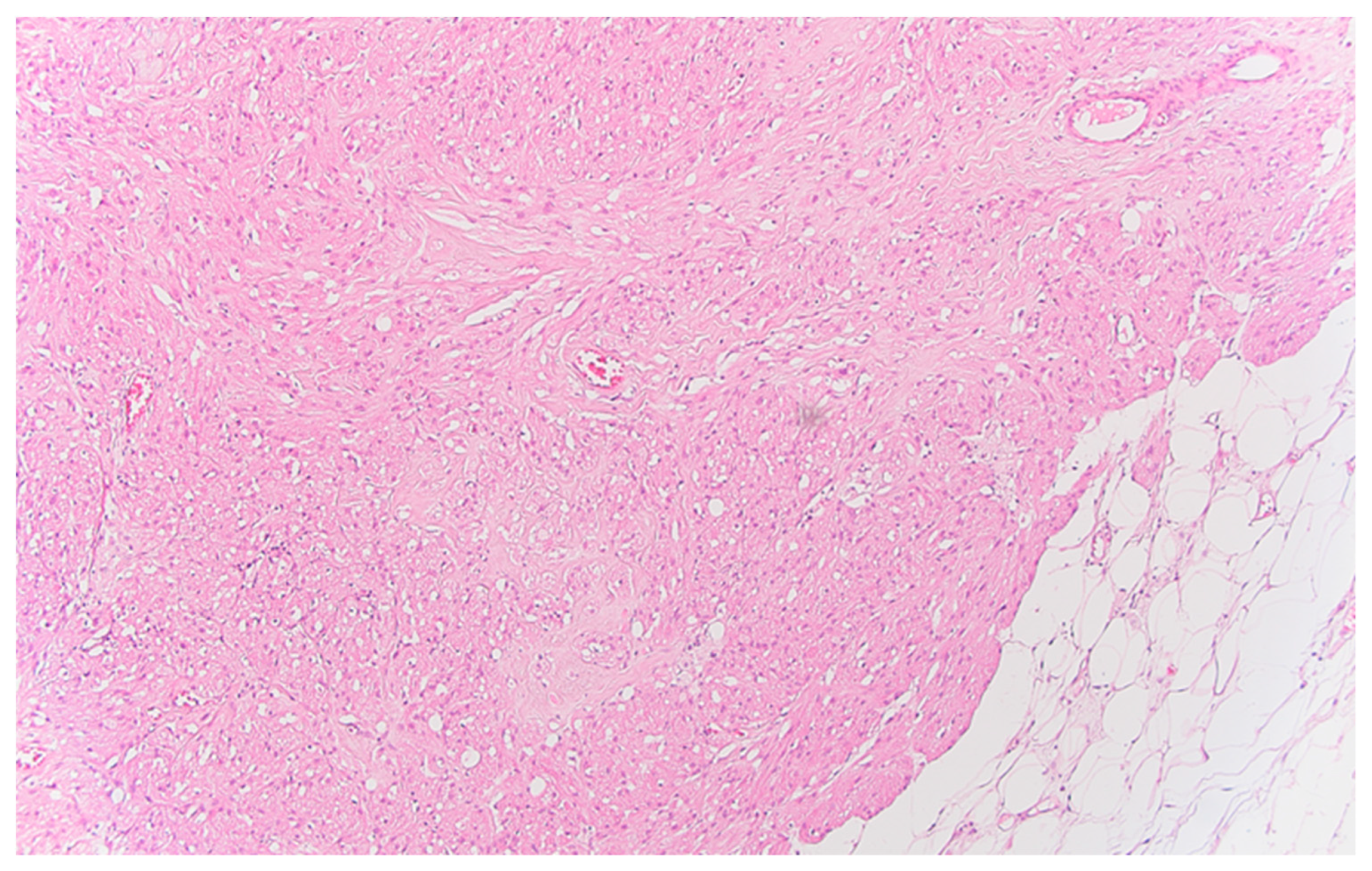 Preprints 89289 g004