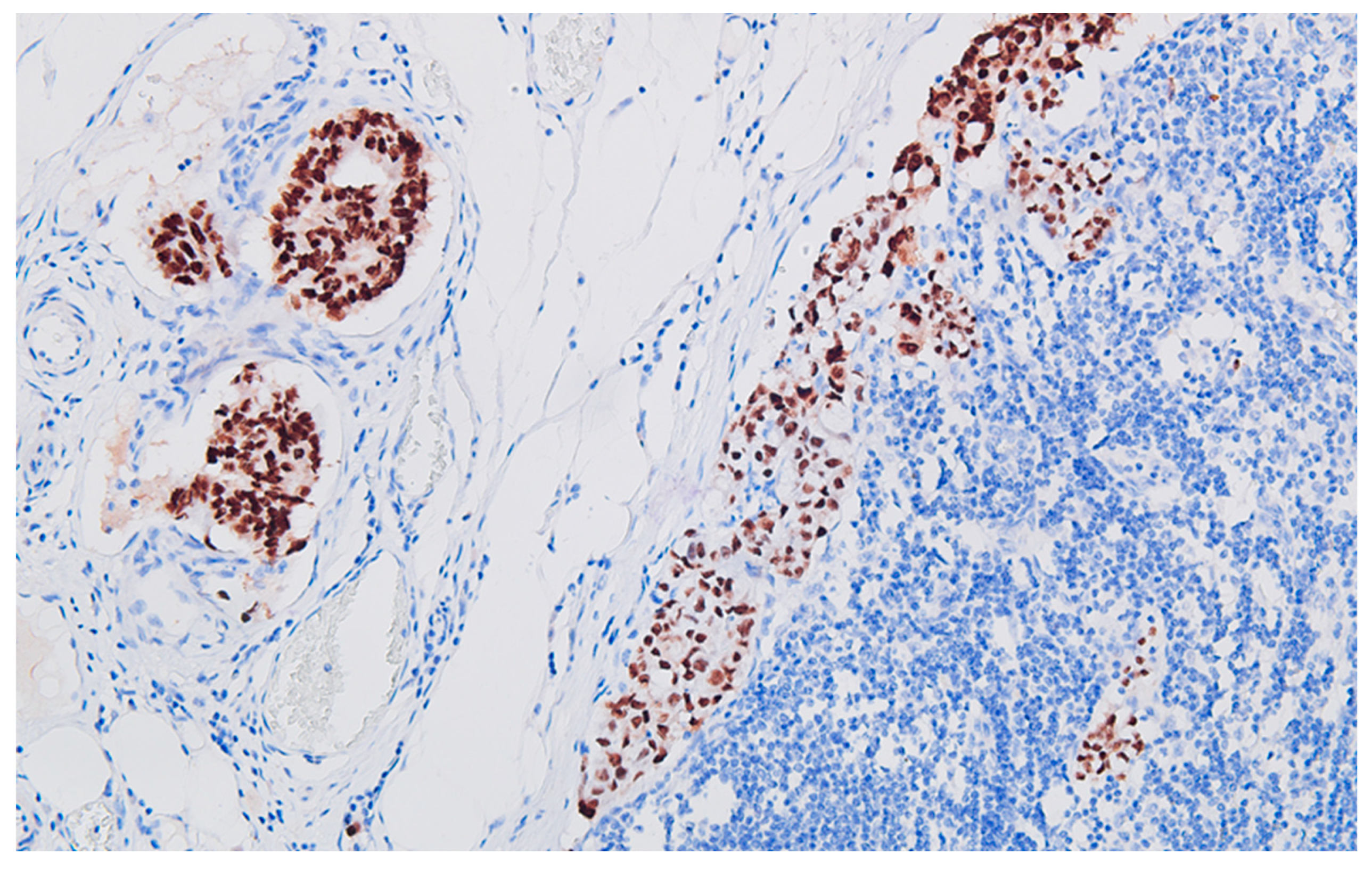 Preprints 89289 g006