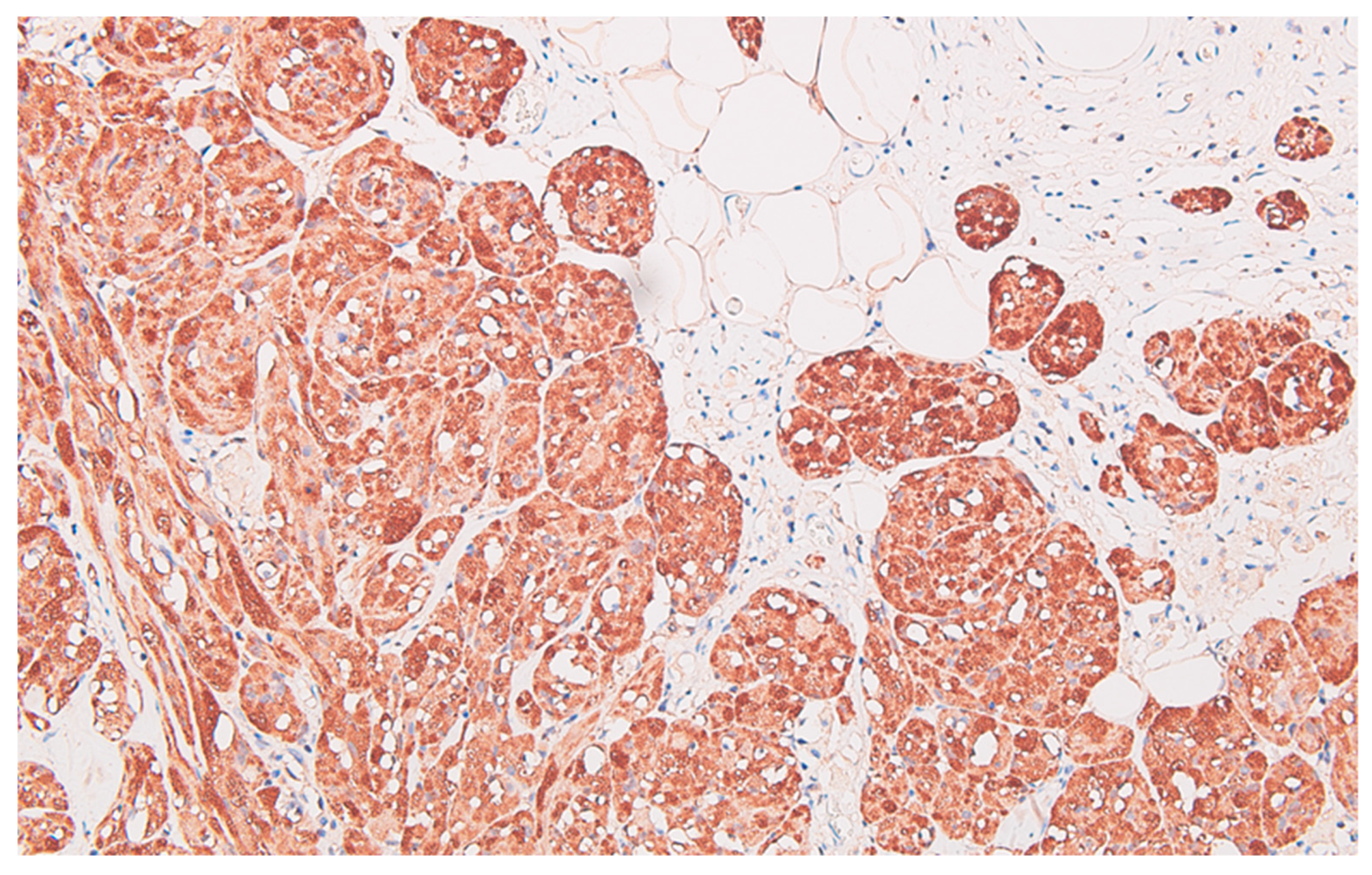 Preprints 89289 g007