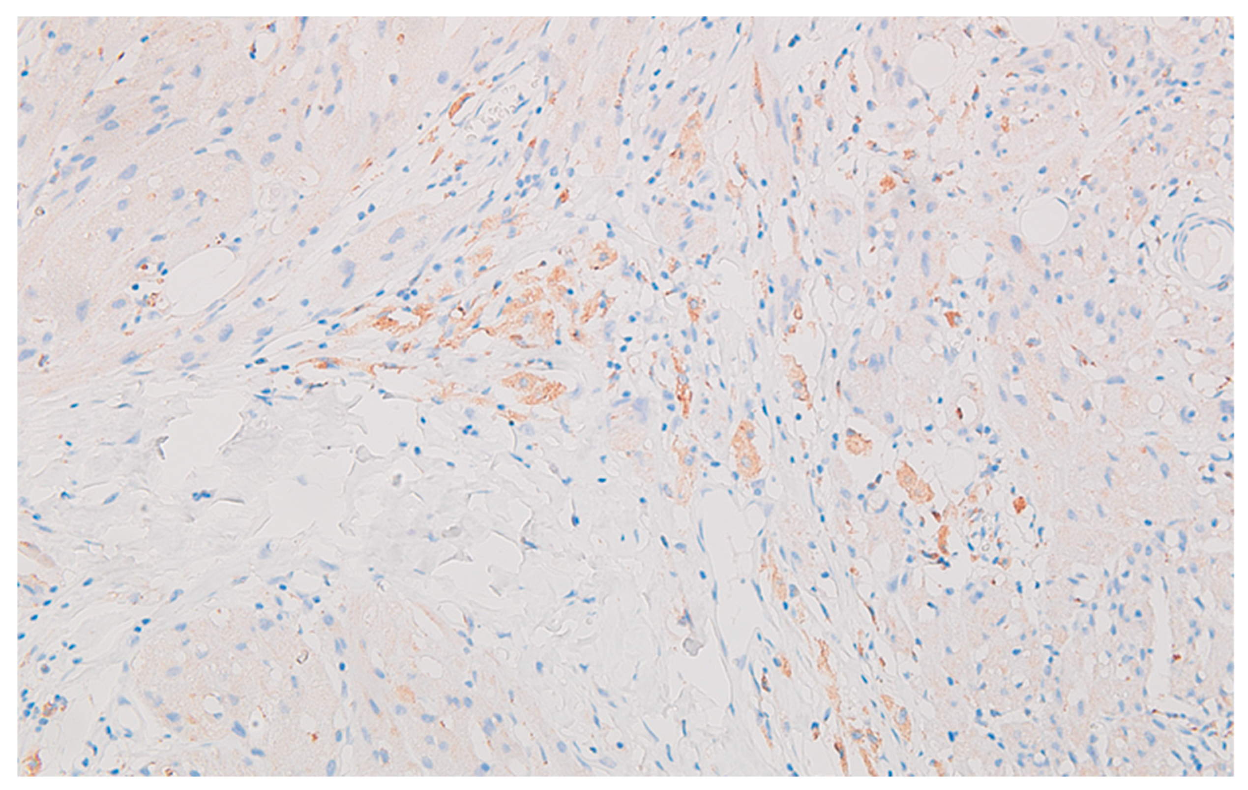 Preprints 89289 g008