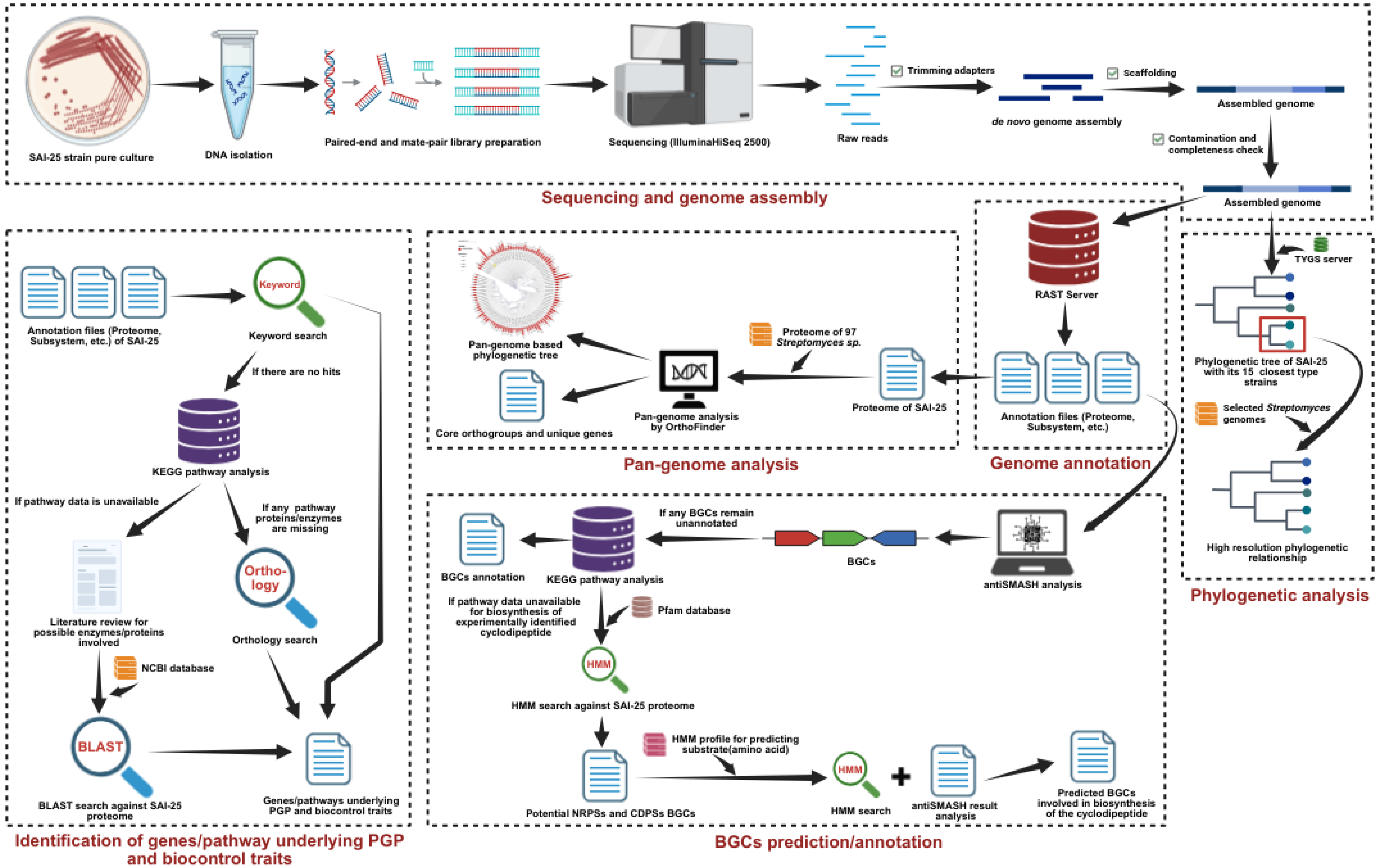 Preprints 157907 g001