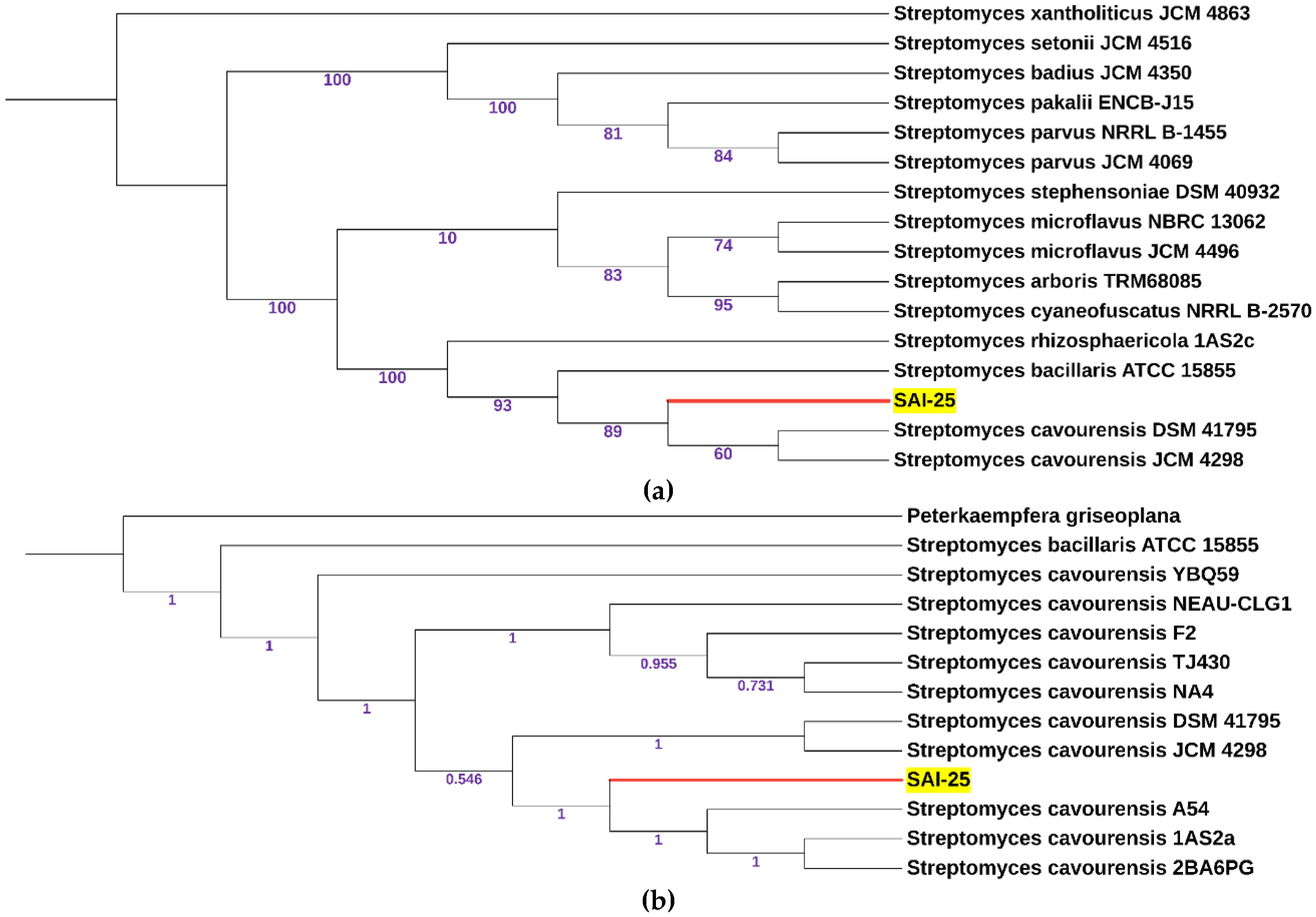 Preprints 157907 g003