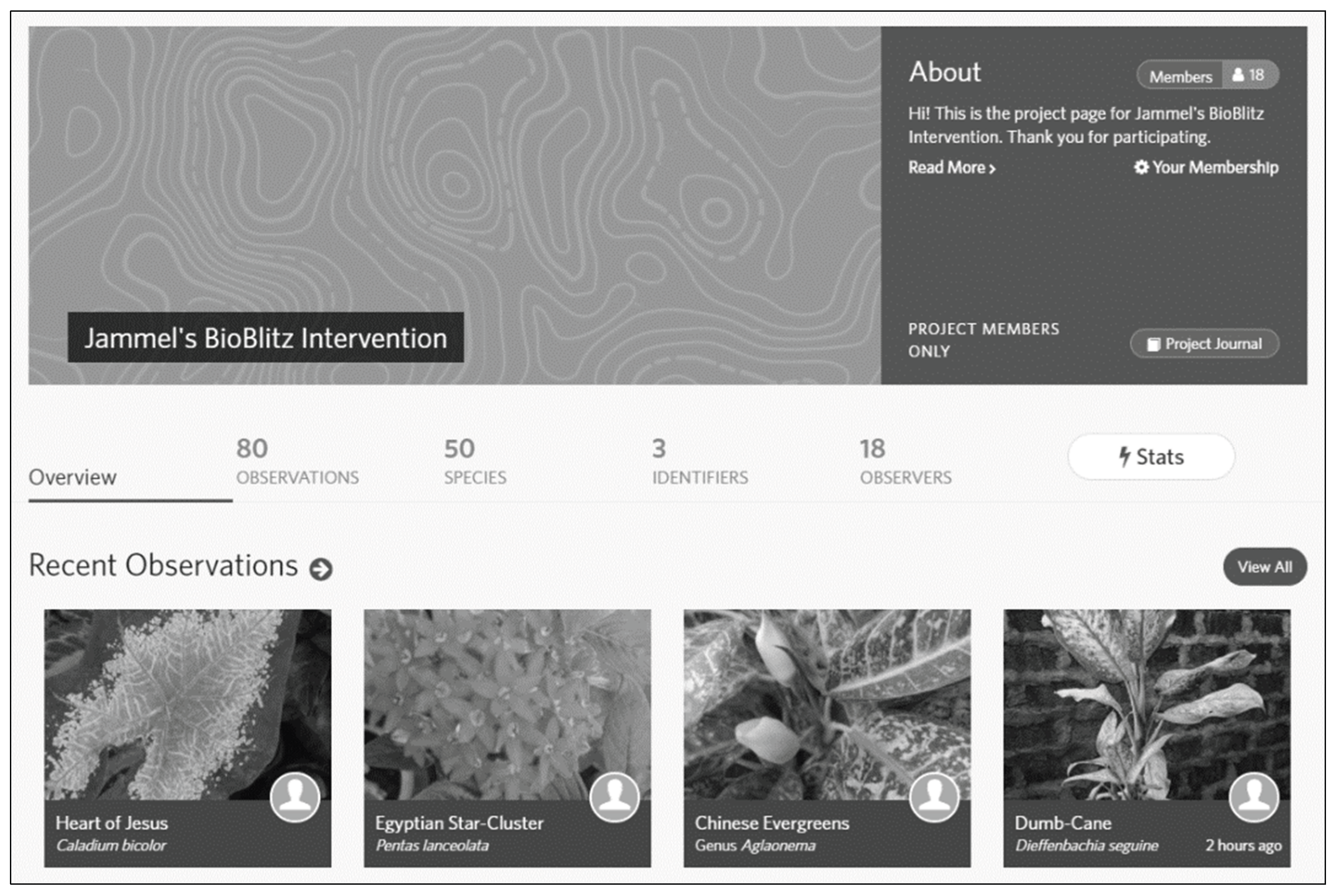 Preprints 237369 g002 Preprints 237369 g002
