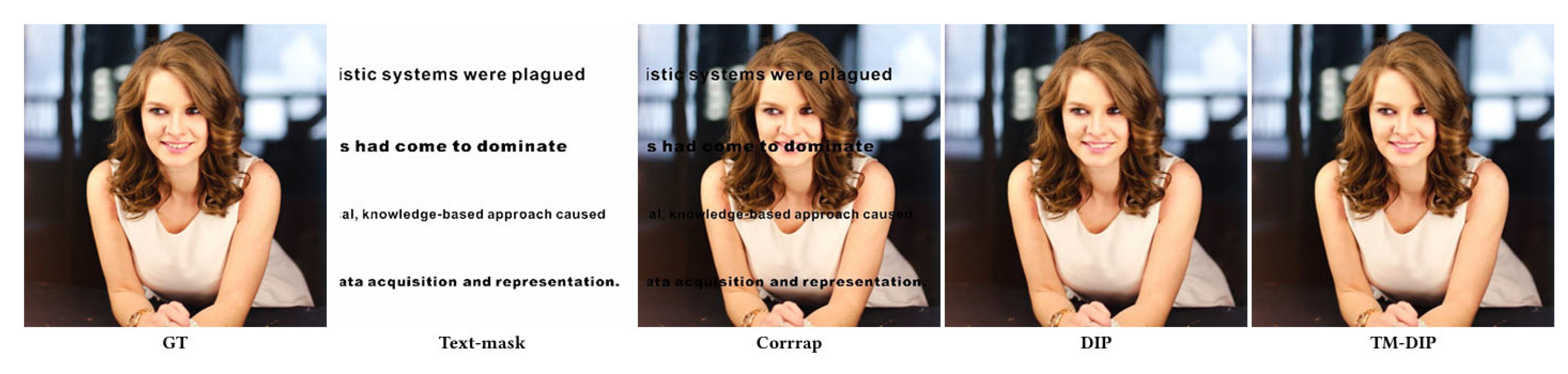 Preprints 198576 g008