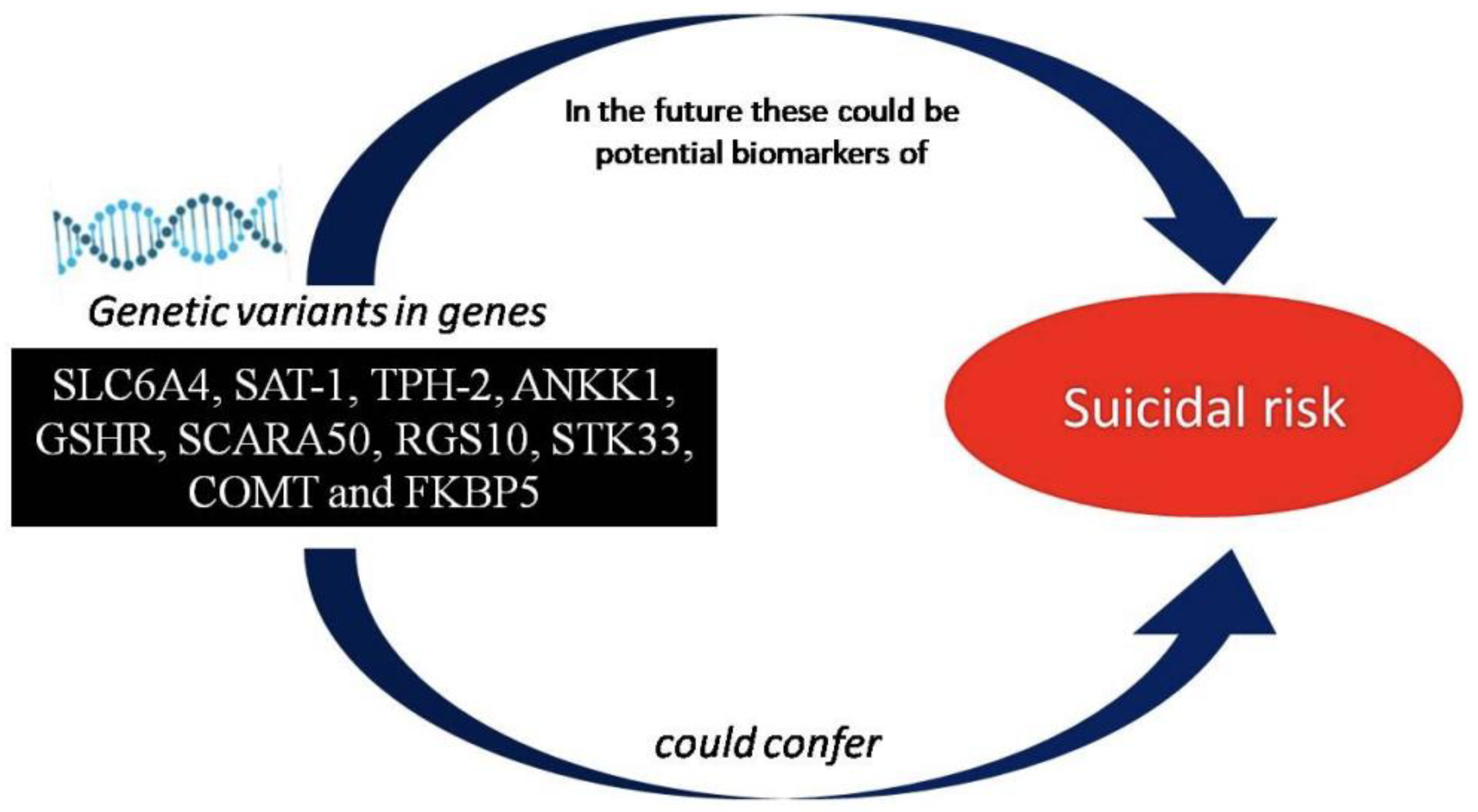 Preprints 67236 g002