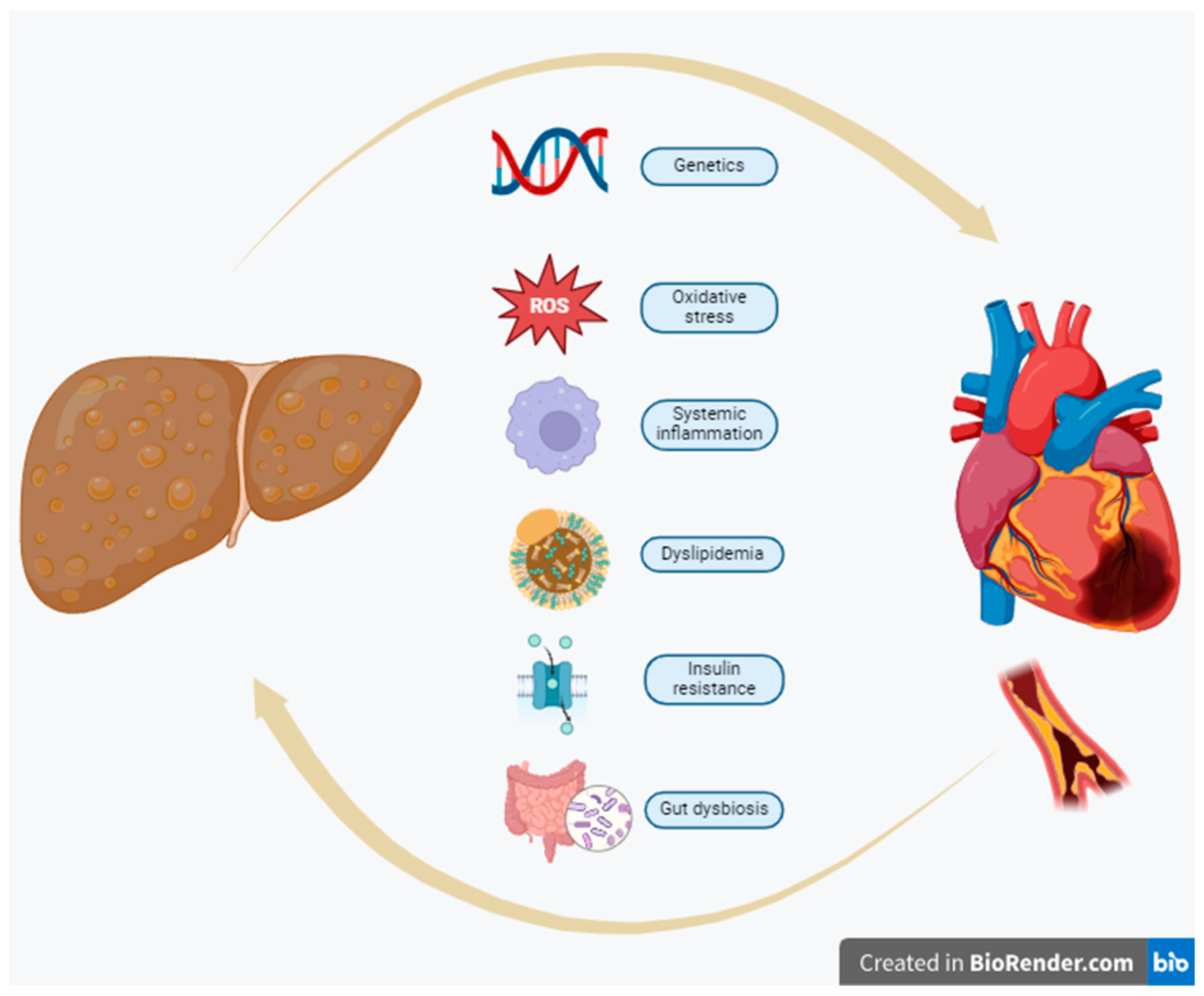Preprints 144539 g001