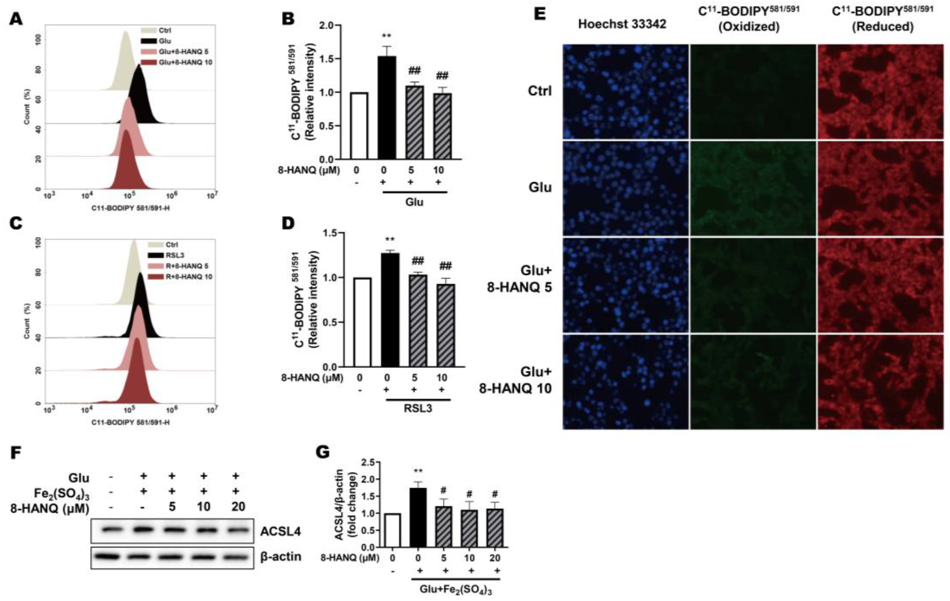 Preprints 178938 g003