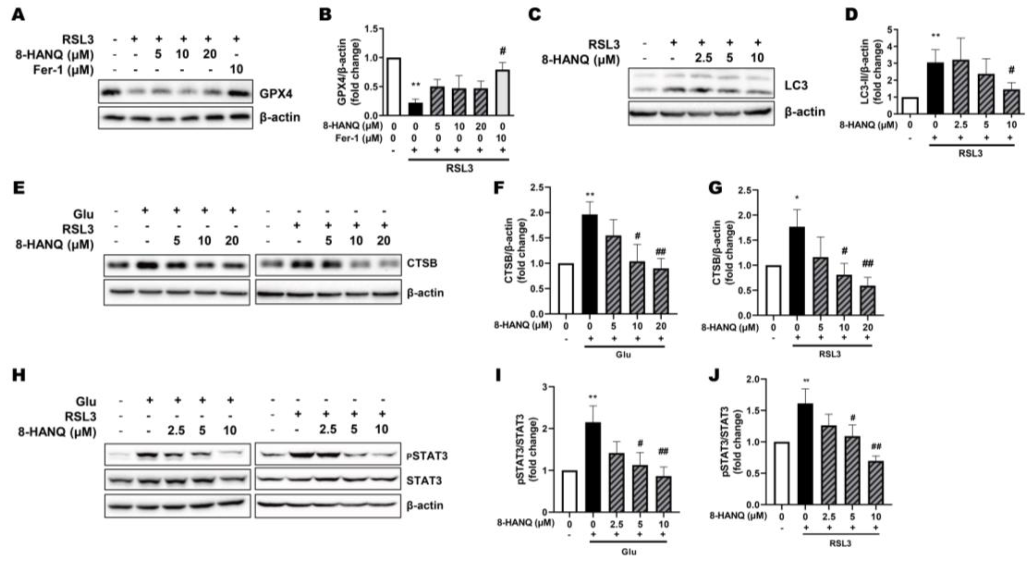 Preprints 178938 g004