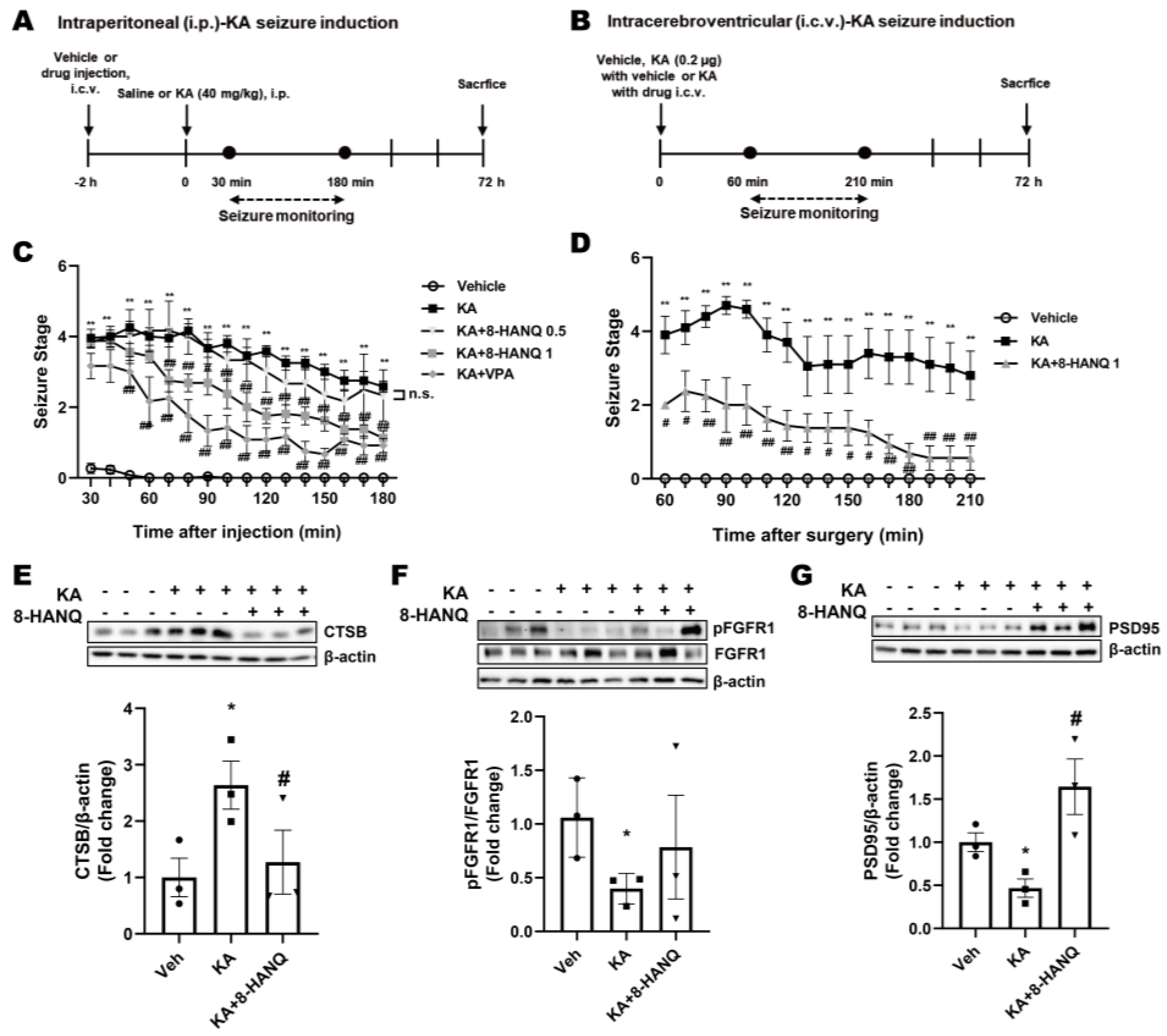 Preprints 178938 g006