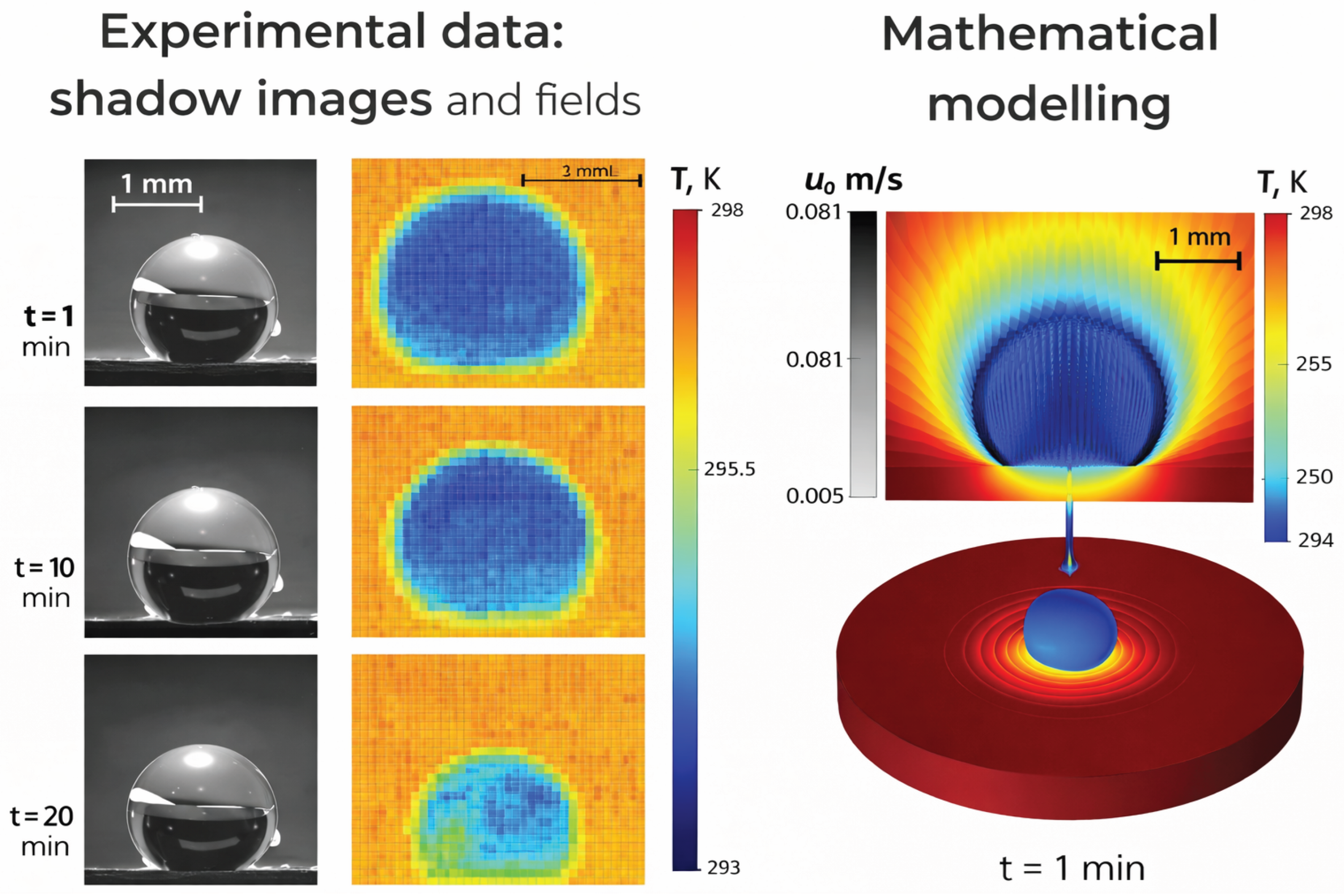 Preprints 191864 g001