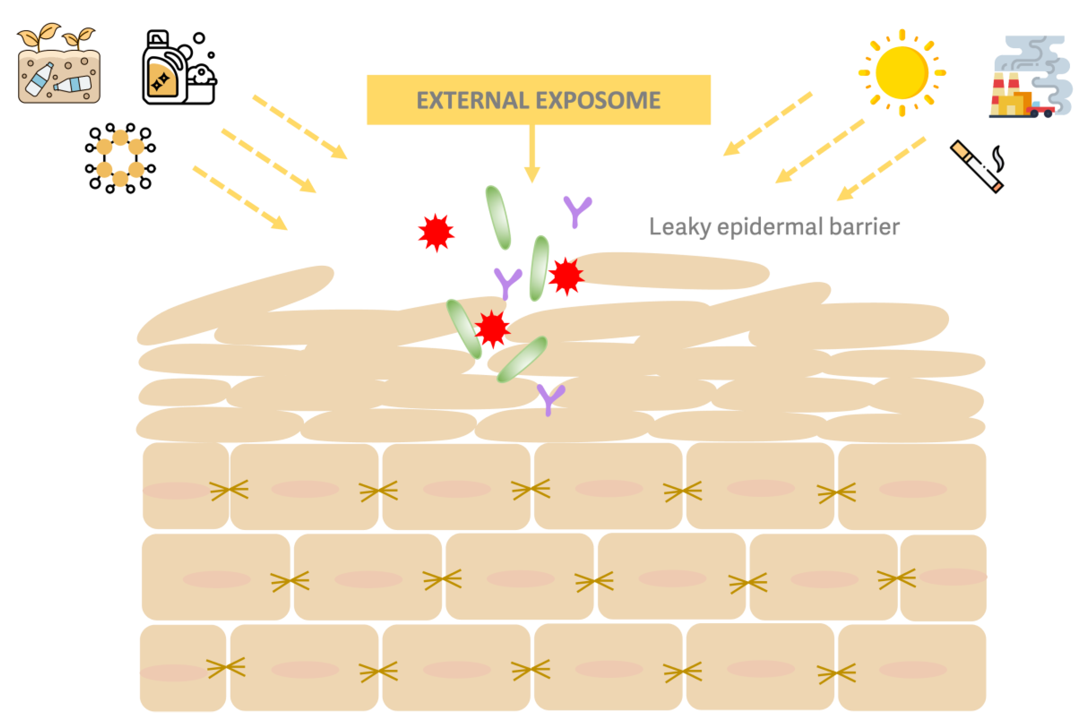 Preprints 172187 g001