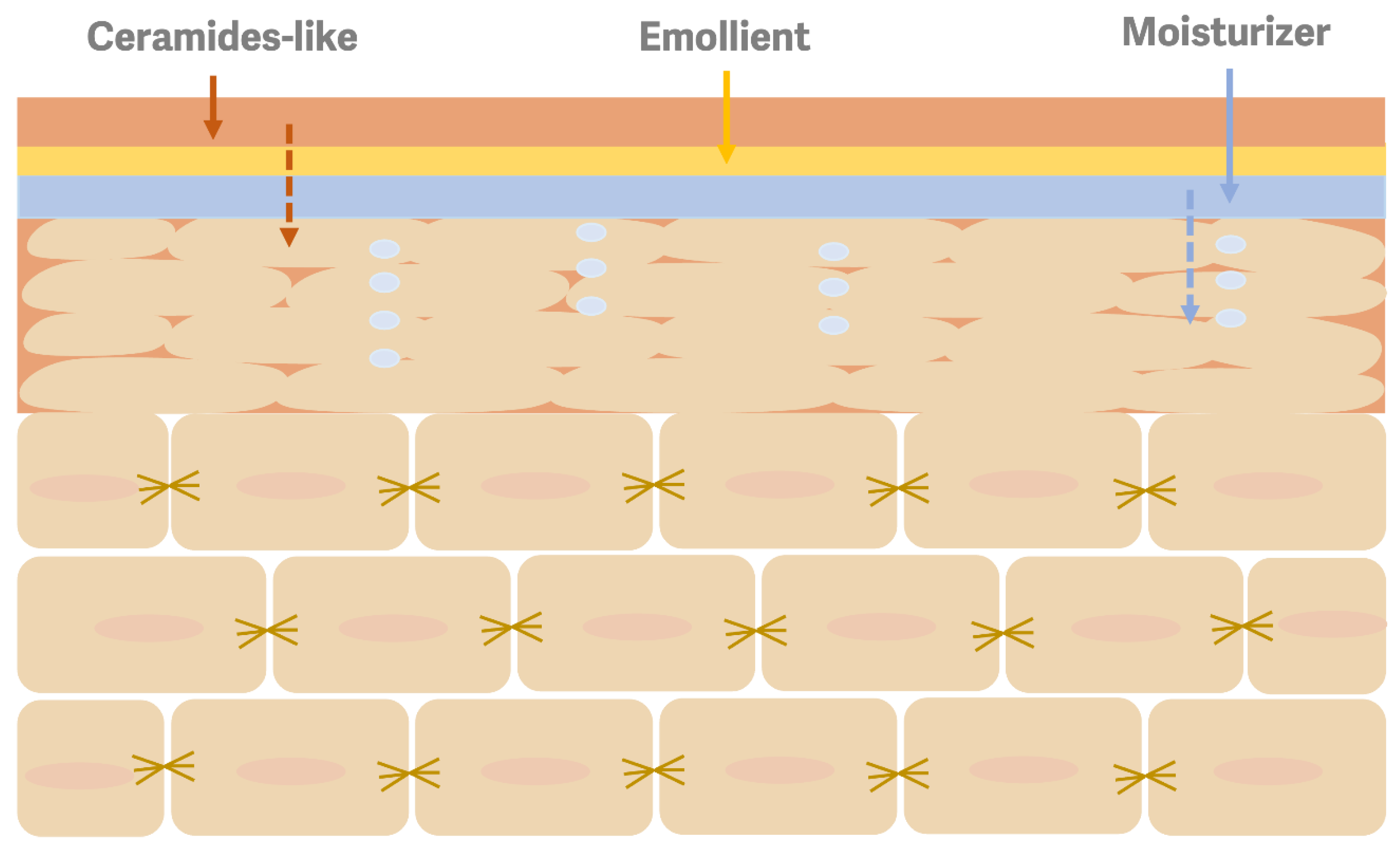 Preprints 172187 g002