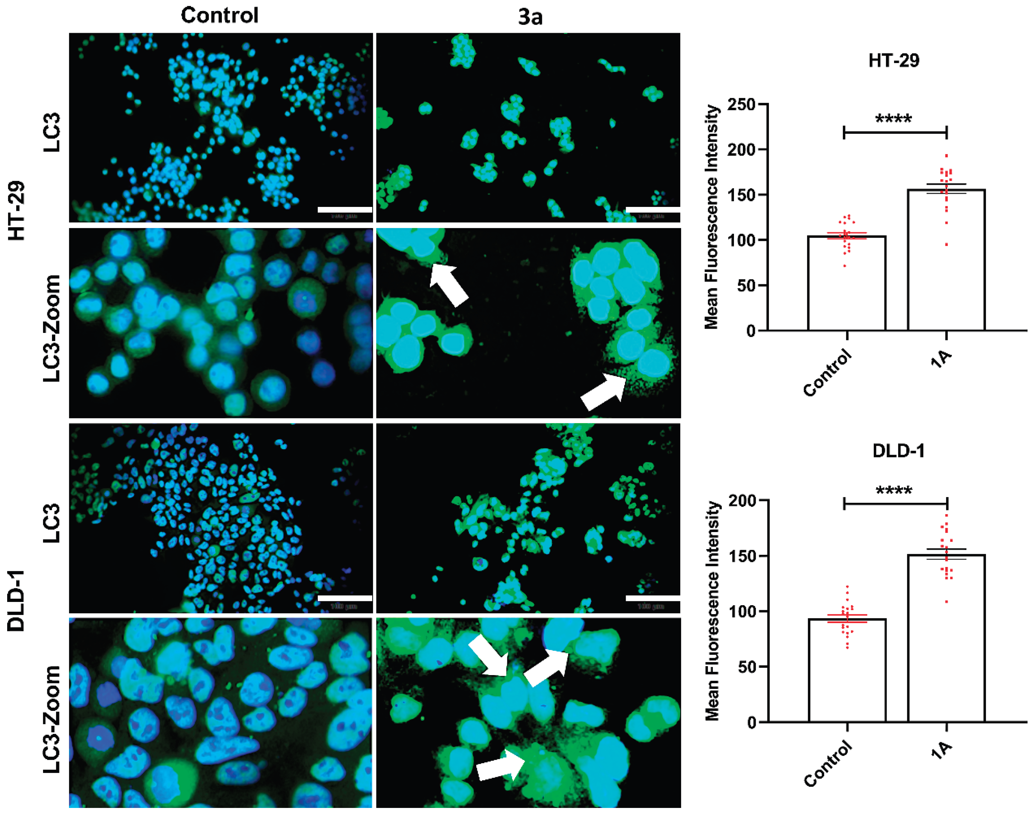 Preprints 197863 g002