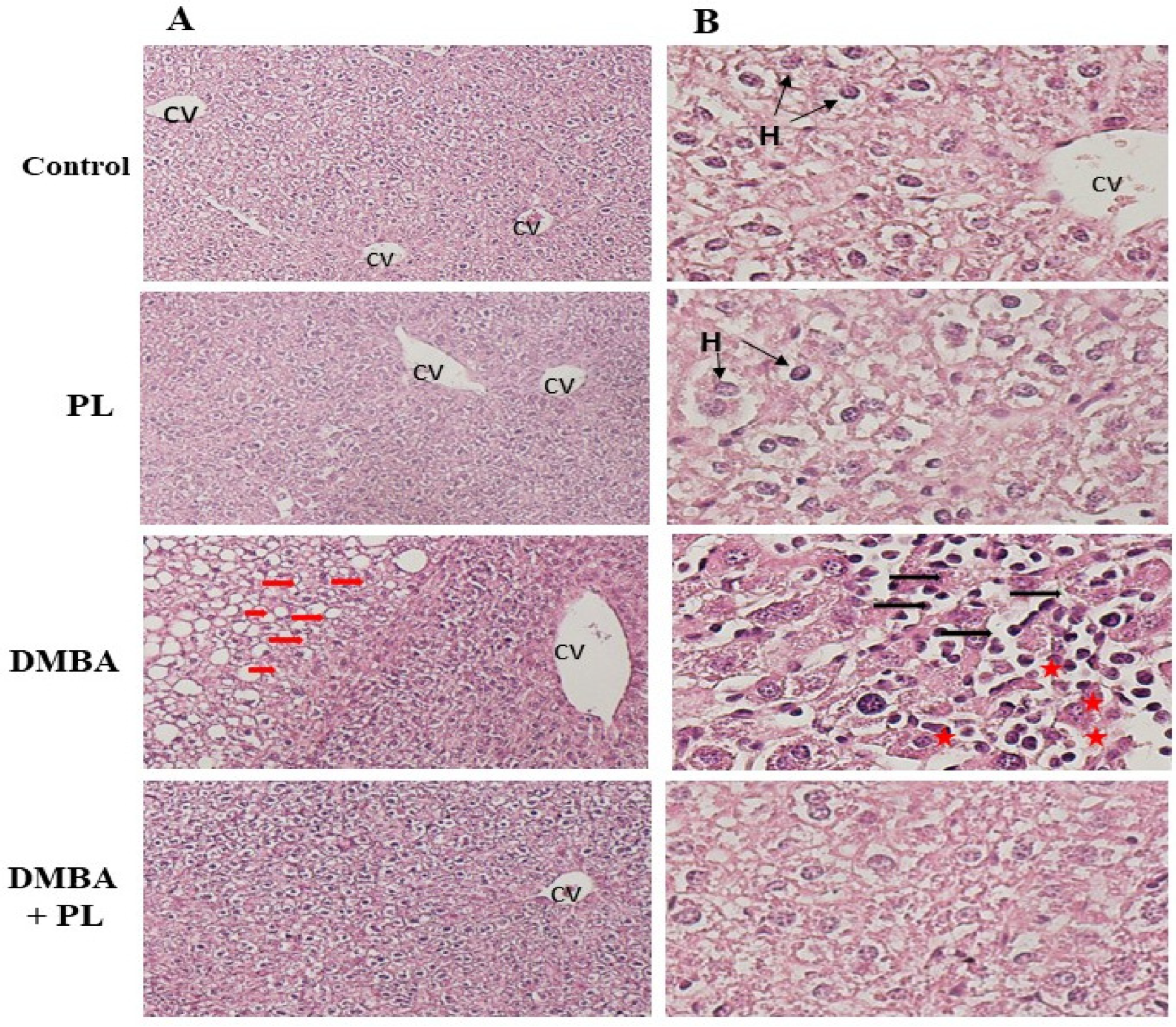 Preprints 118579 g003