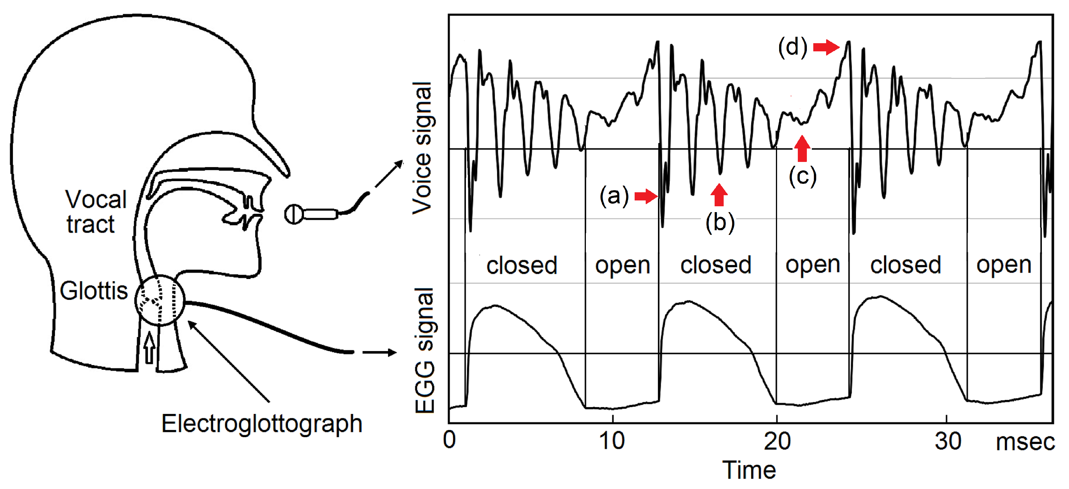 Preprints 190470 g005