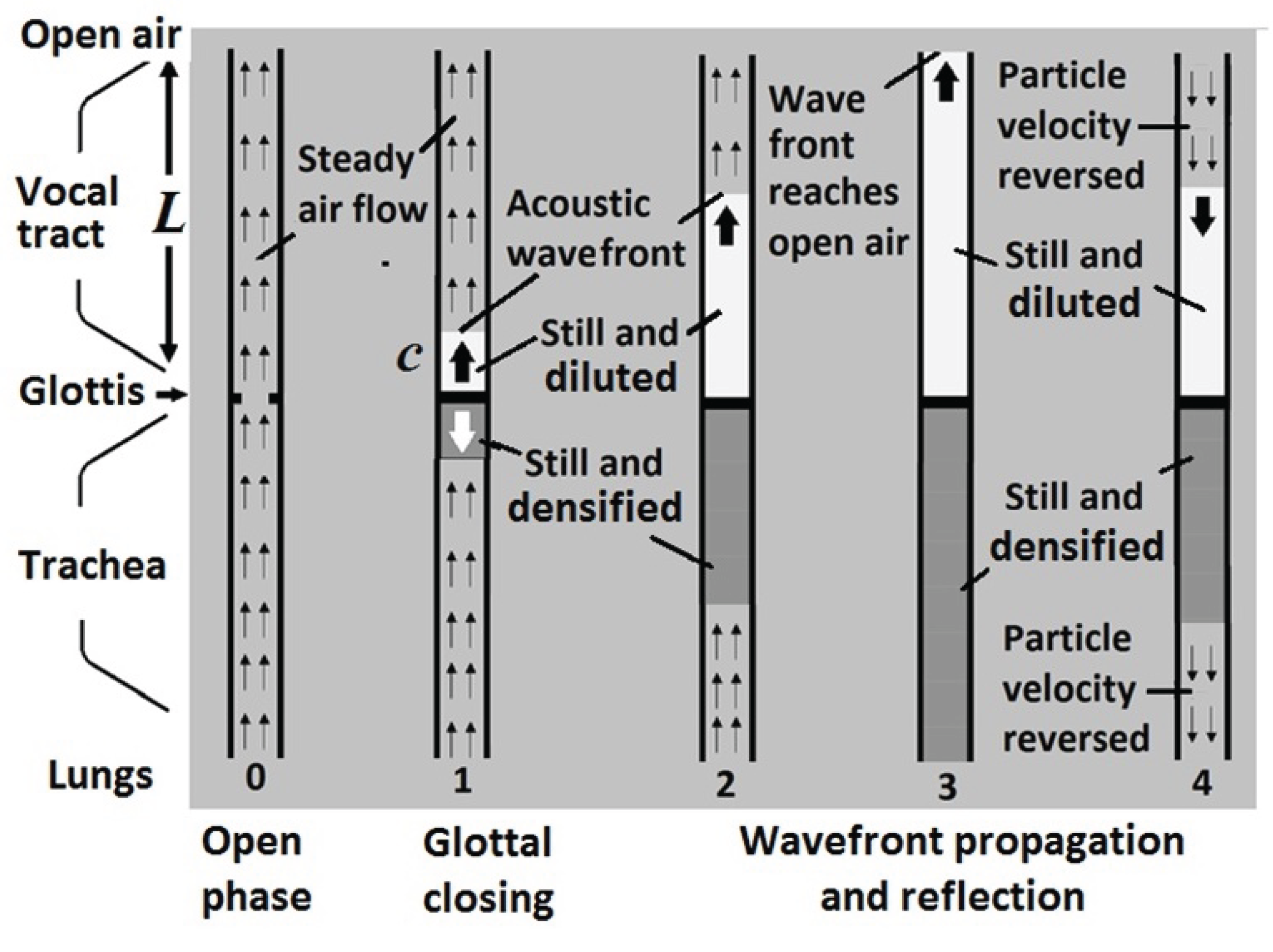 Preprints 190470 g006