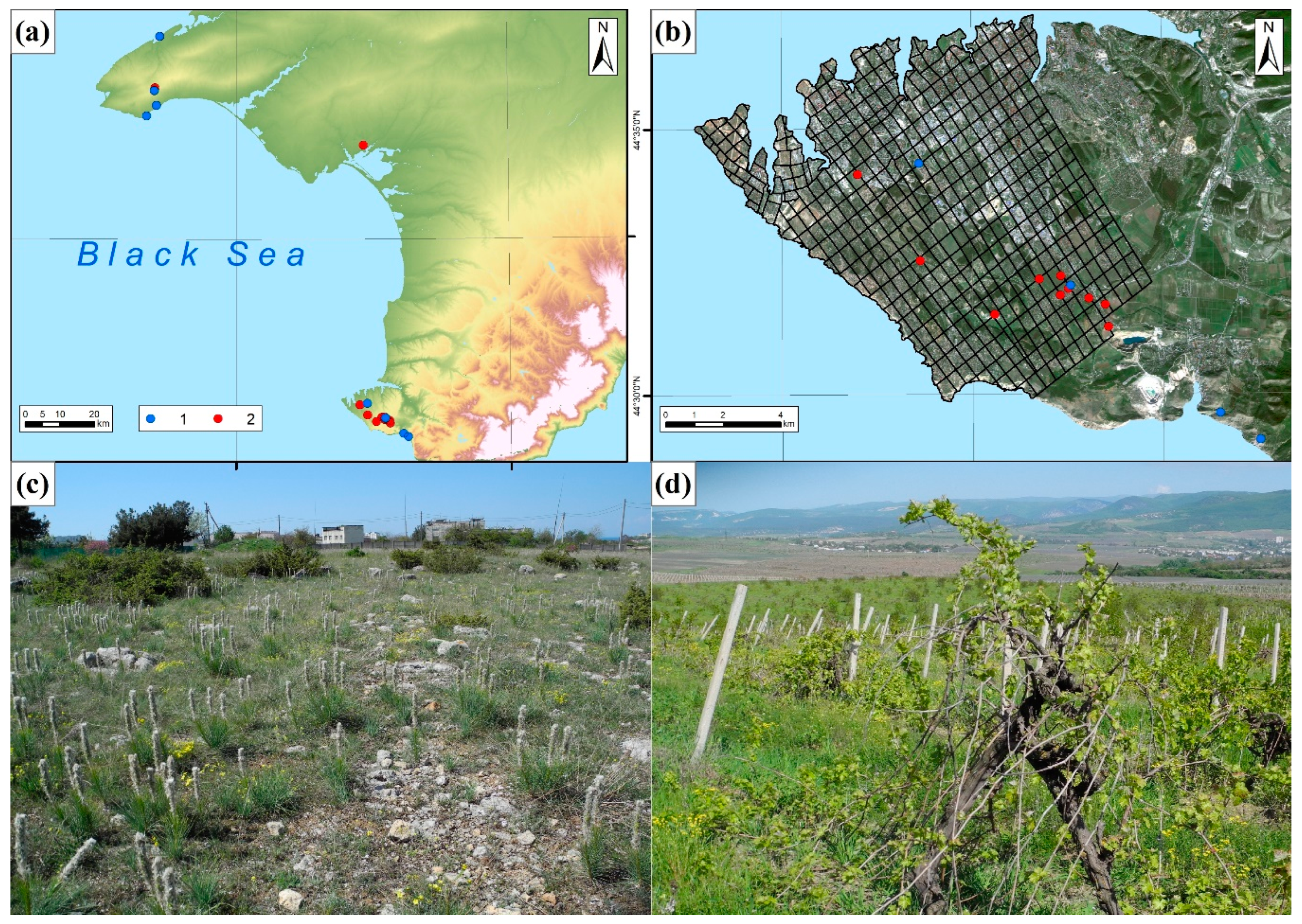 Preprints 150534 g001