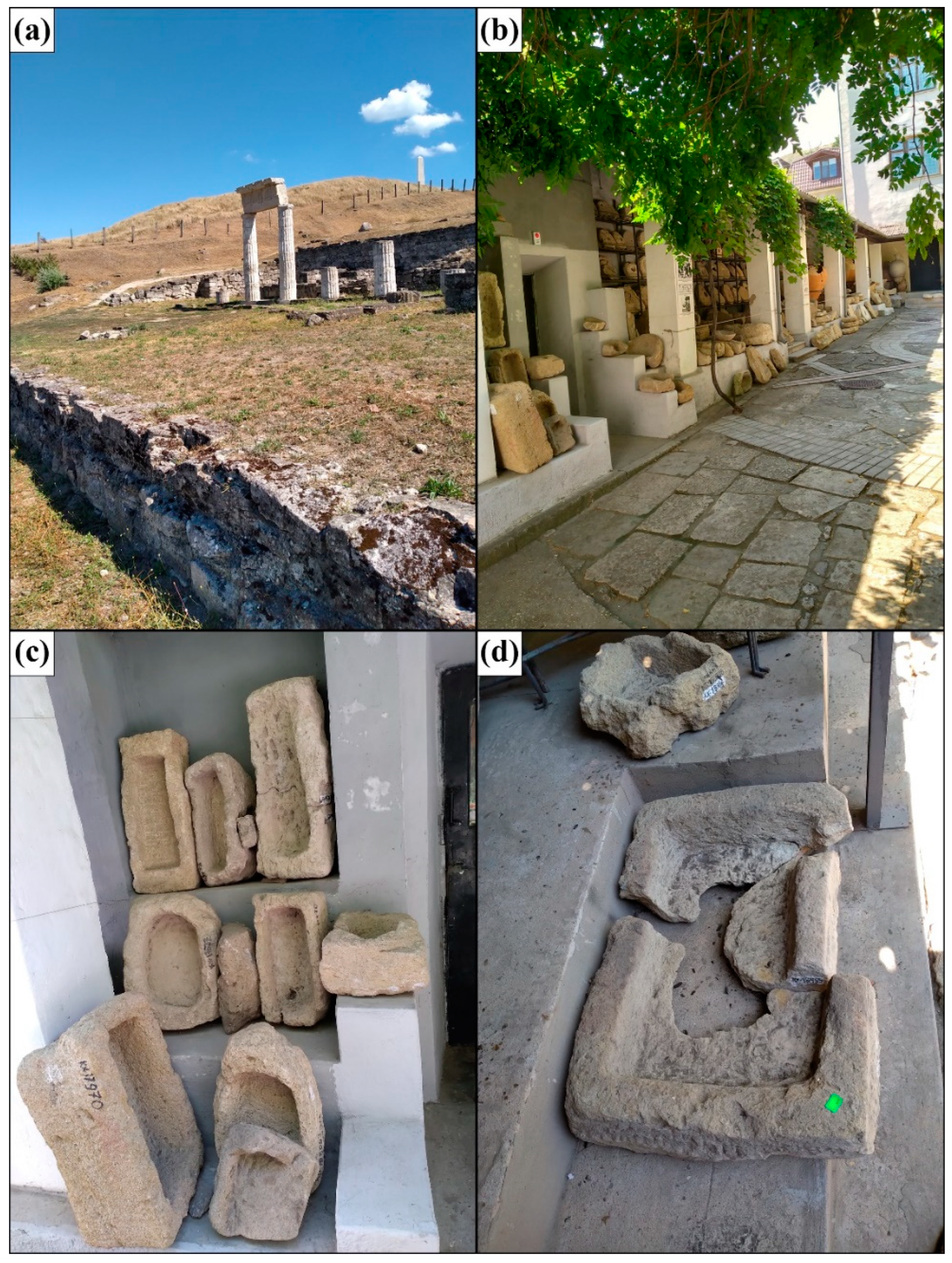 Preprints 150534 g002