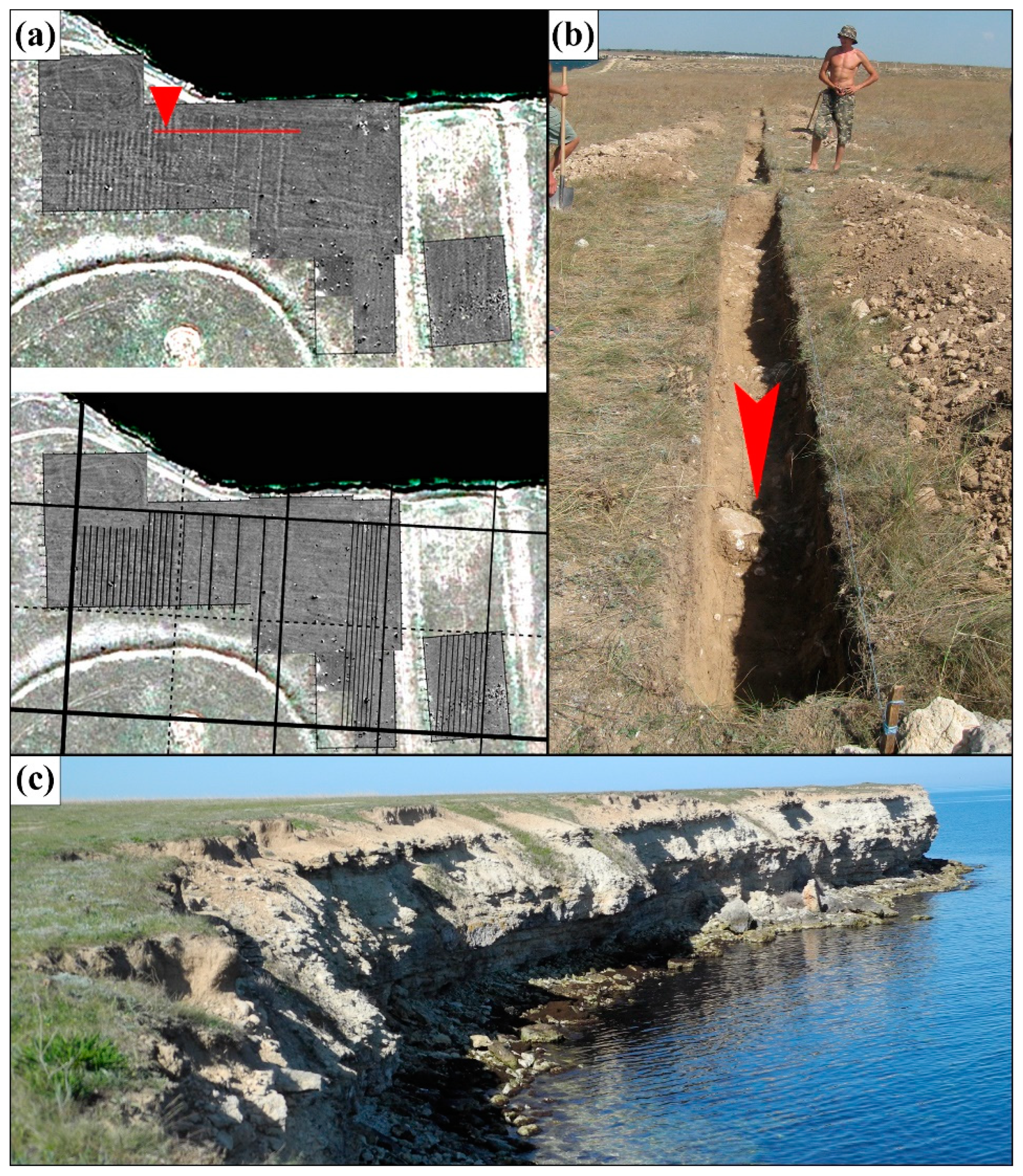 Preprints 150534 g003