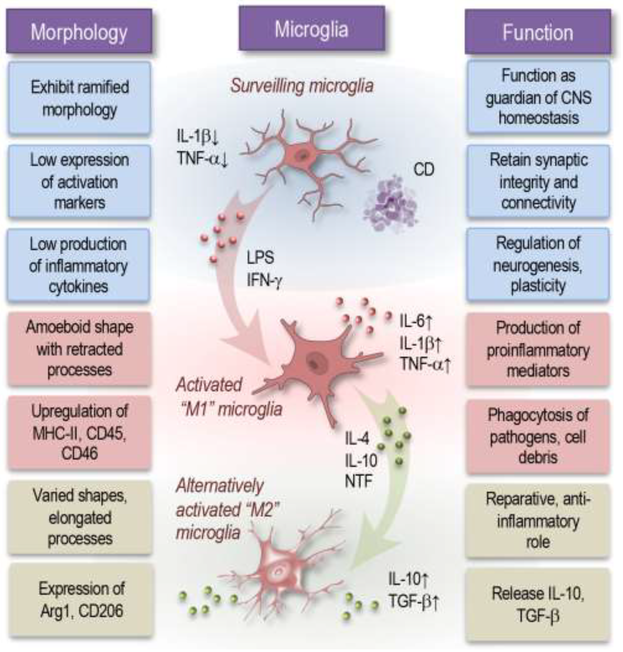Preprints 141077 g001