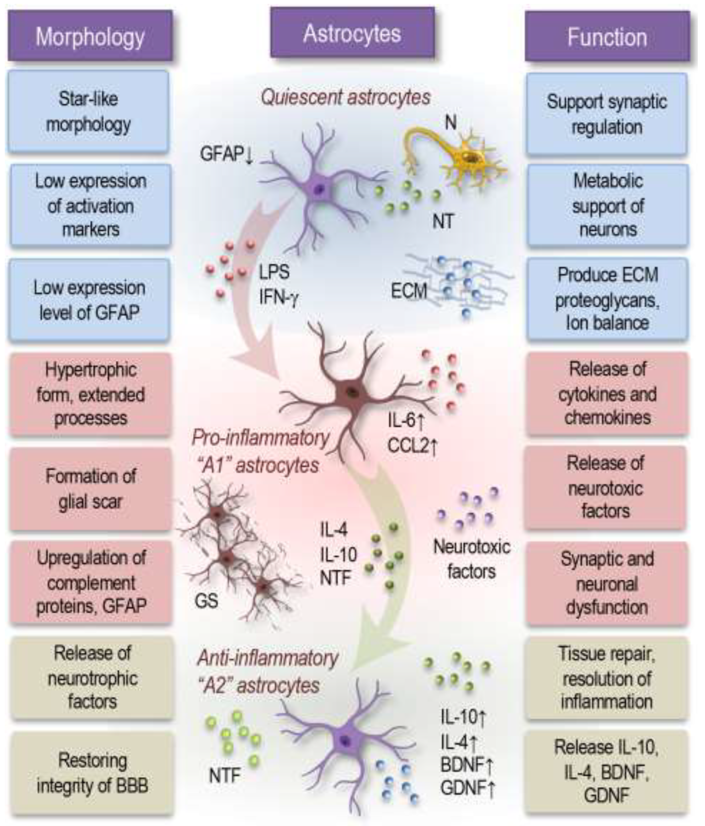 Preprints 141077 g002