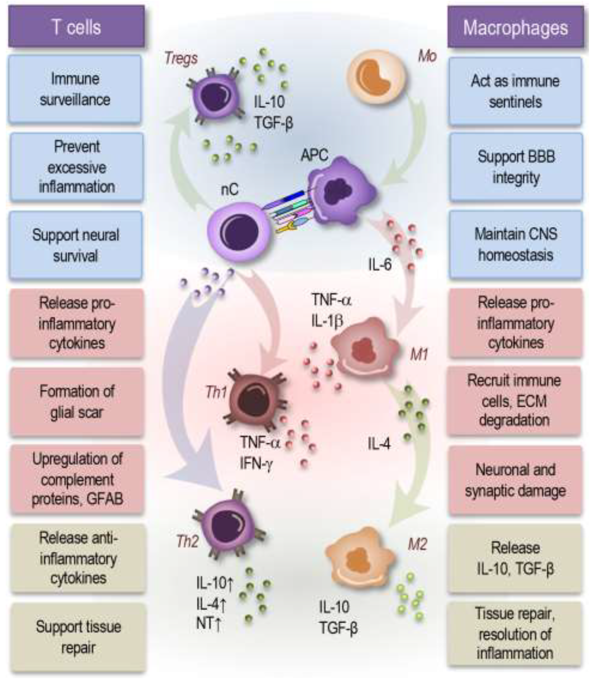 Preprints 141077 g003