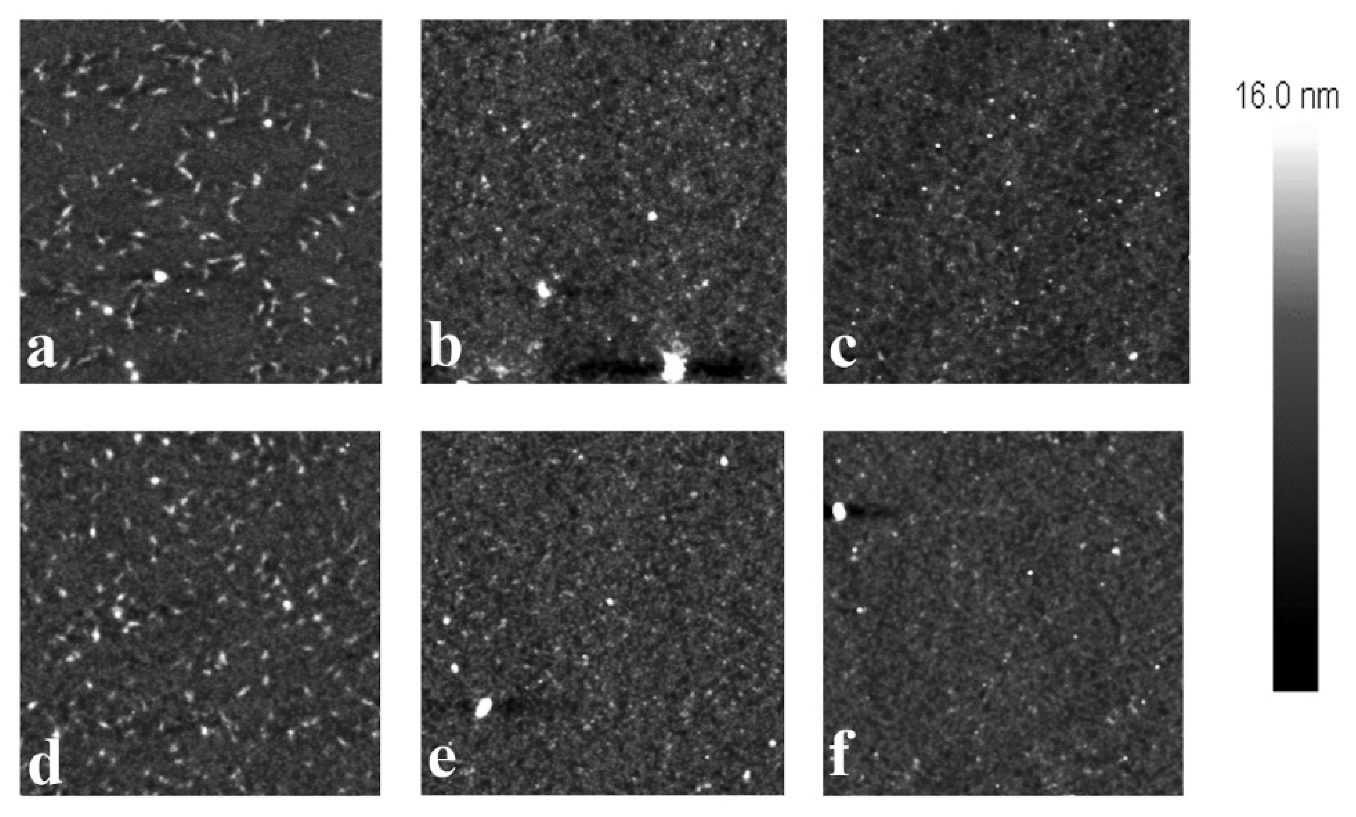 Preprints 94130 g006