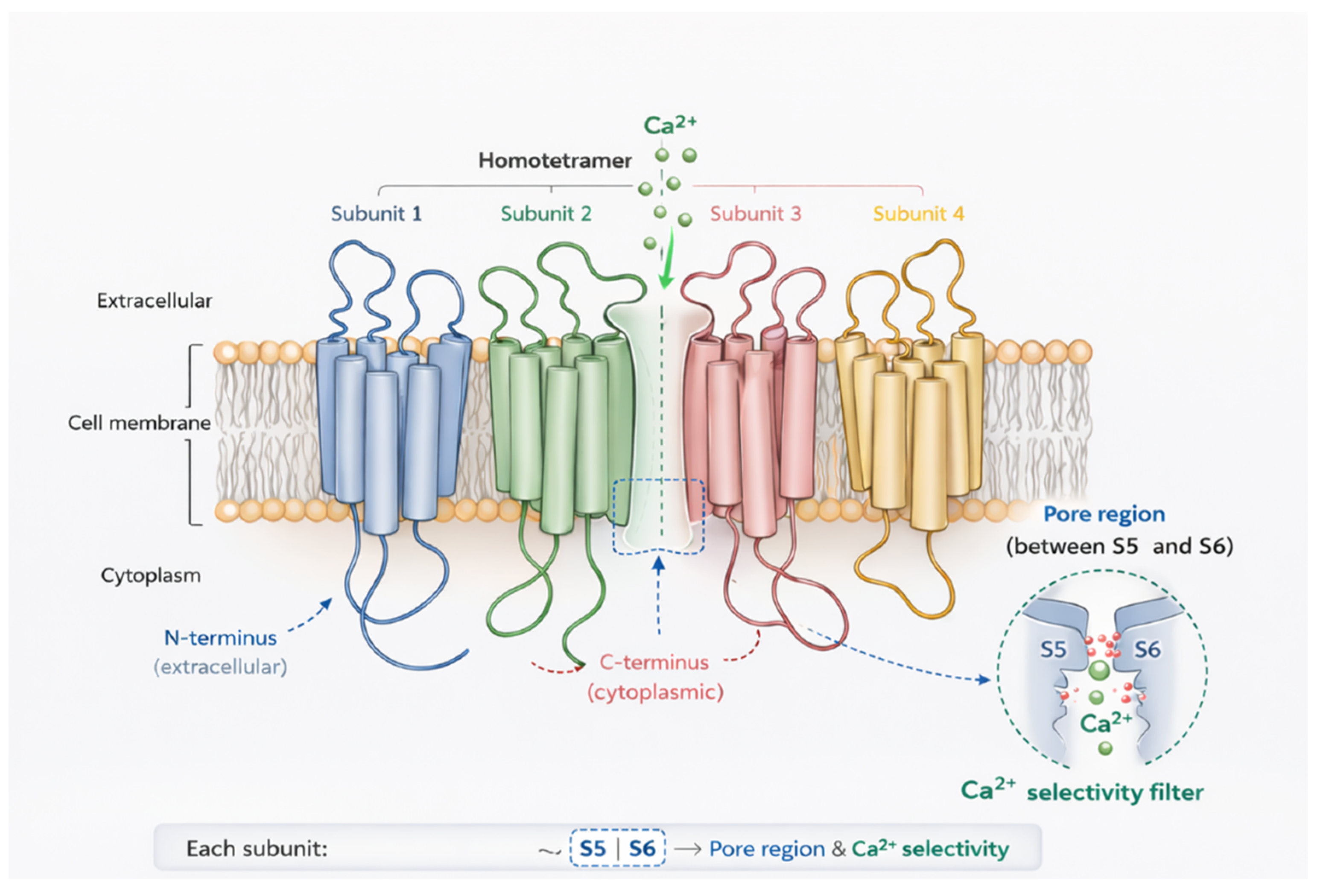 Preprints 208584 g001