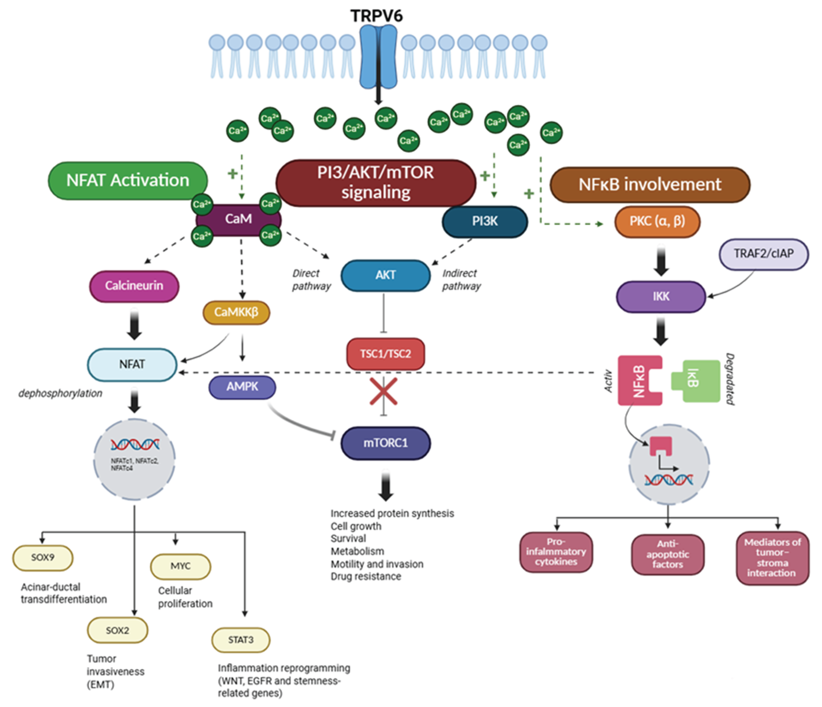 Preprints 208584 g002