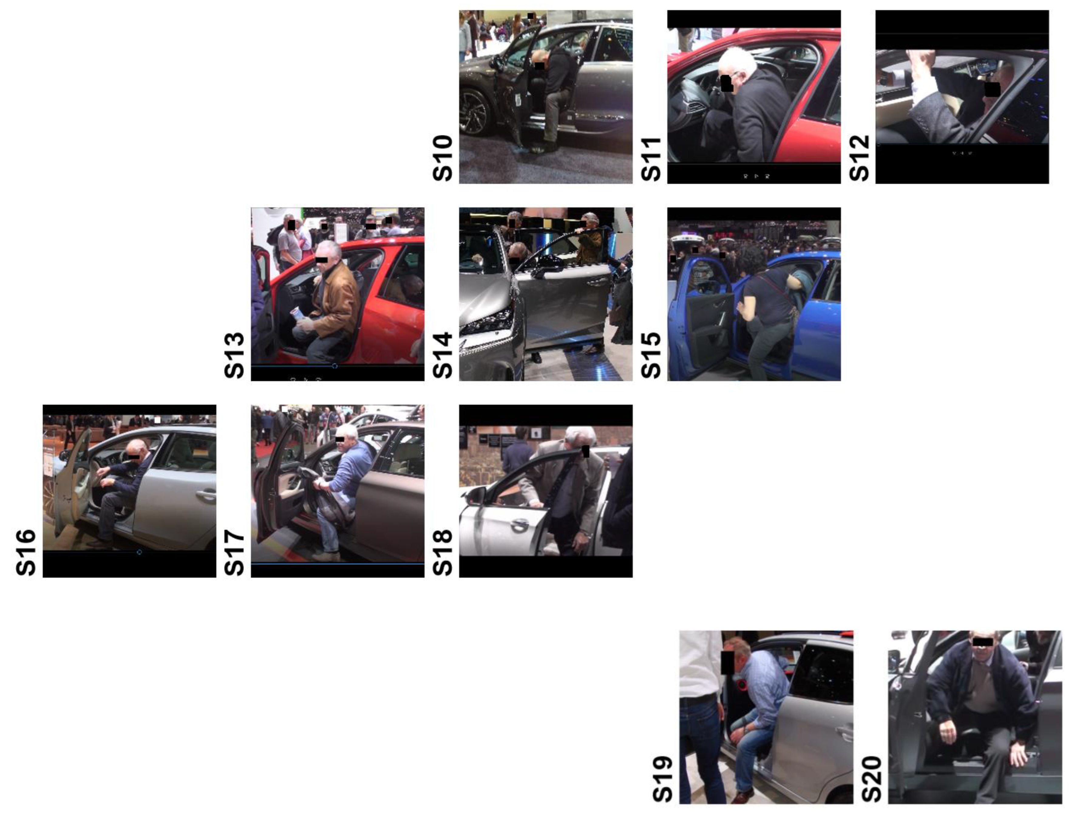 Preprints 79848 g001b