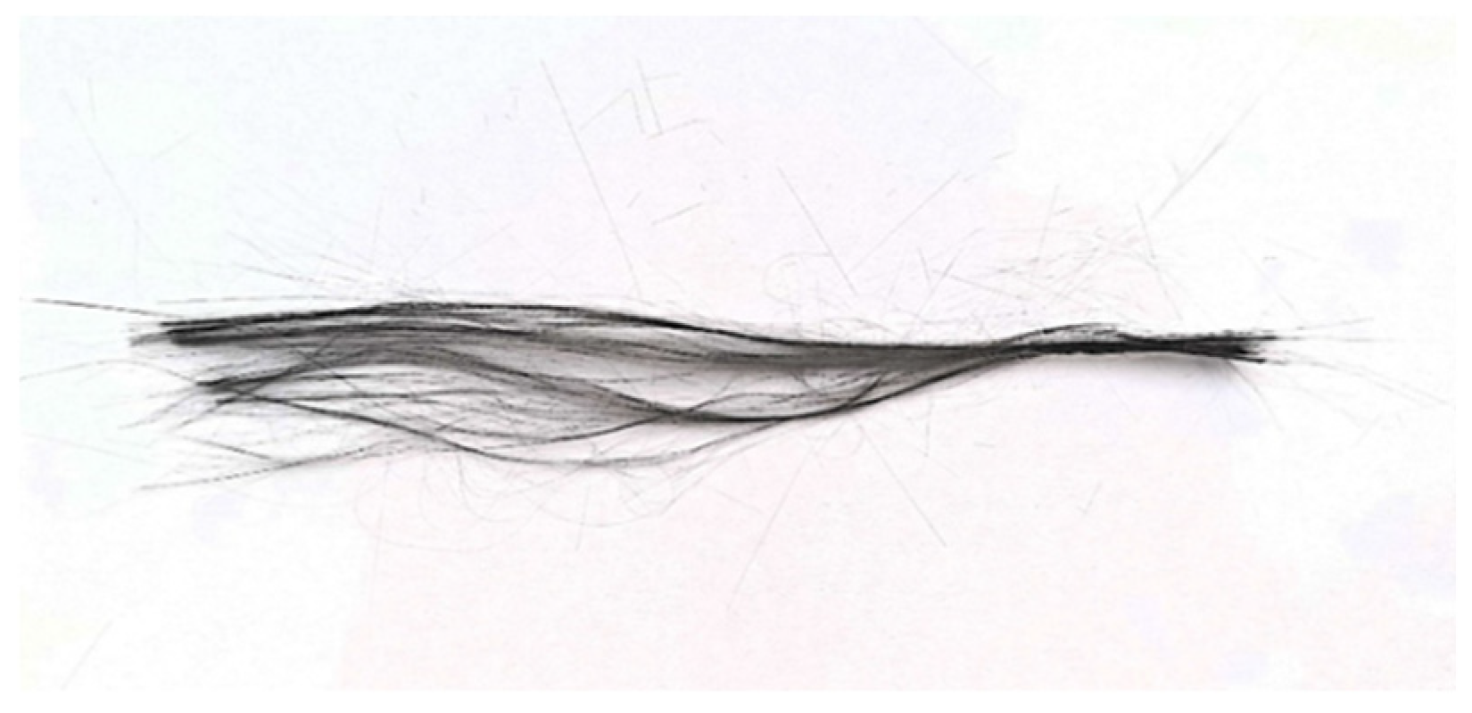 Preprints 180336 g003