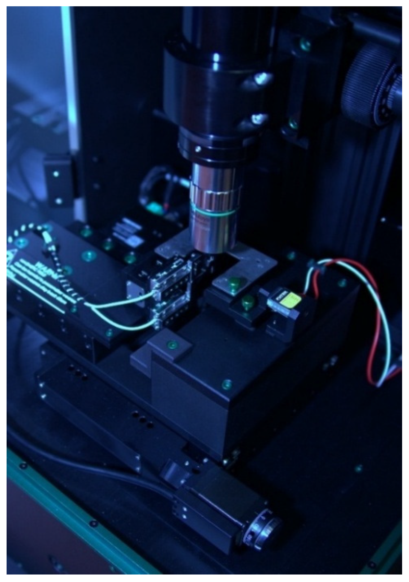 Preprints 180336 g006