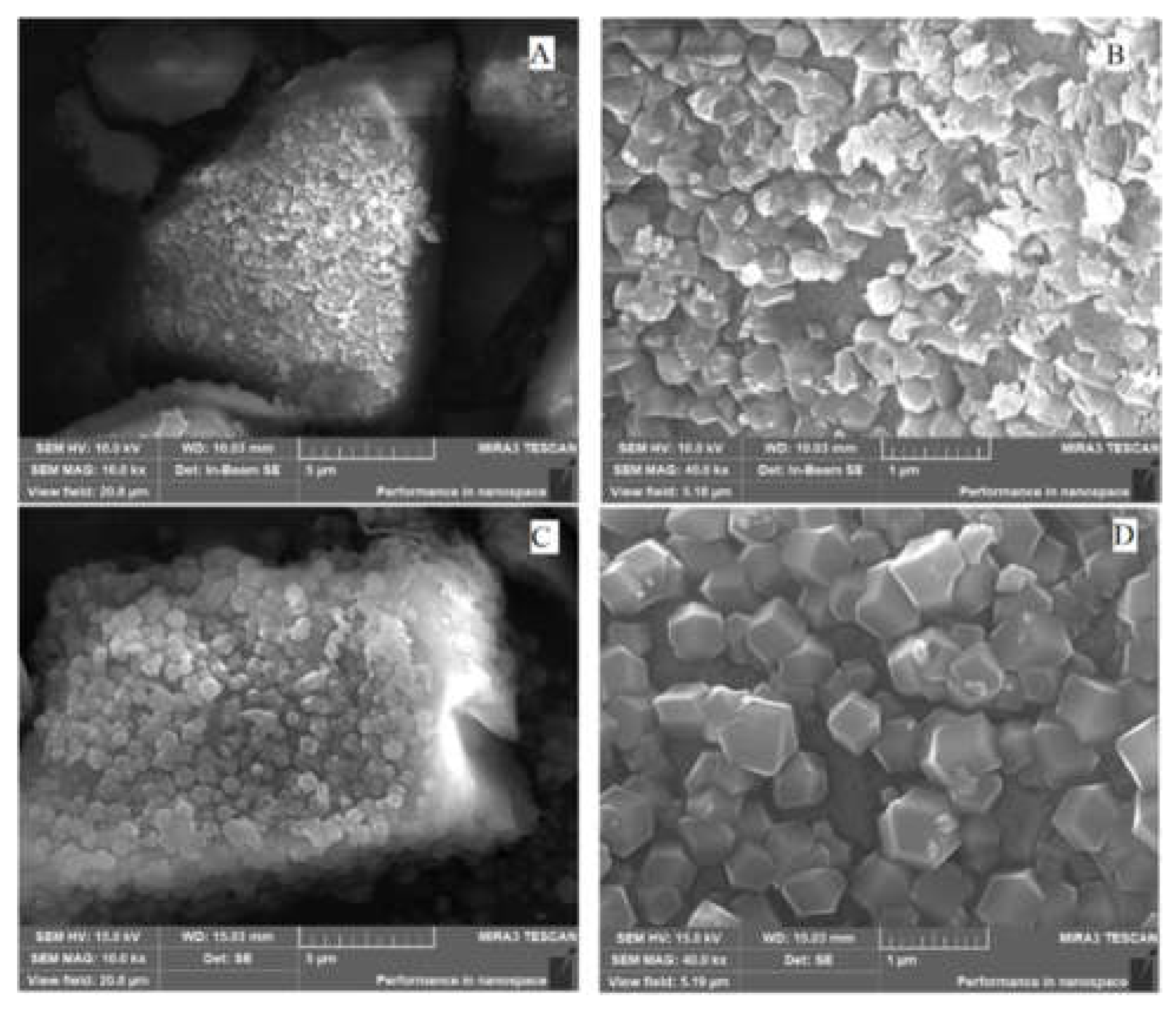 Preprints 193926 g002