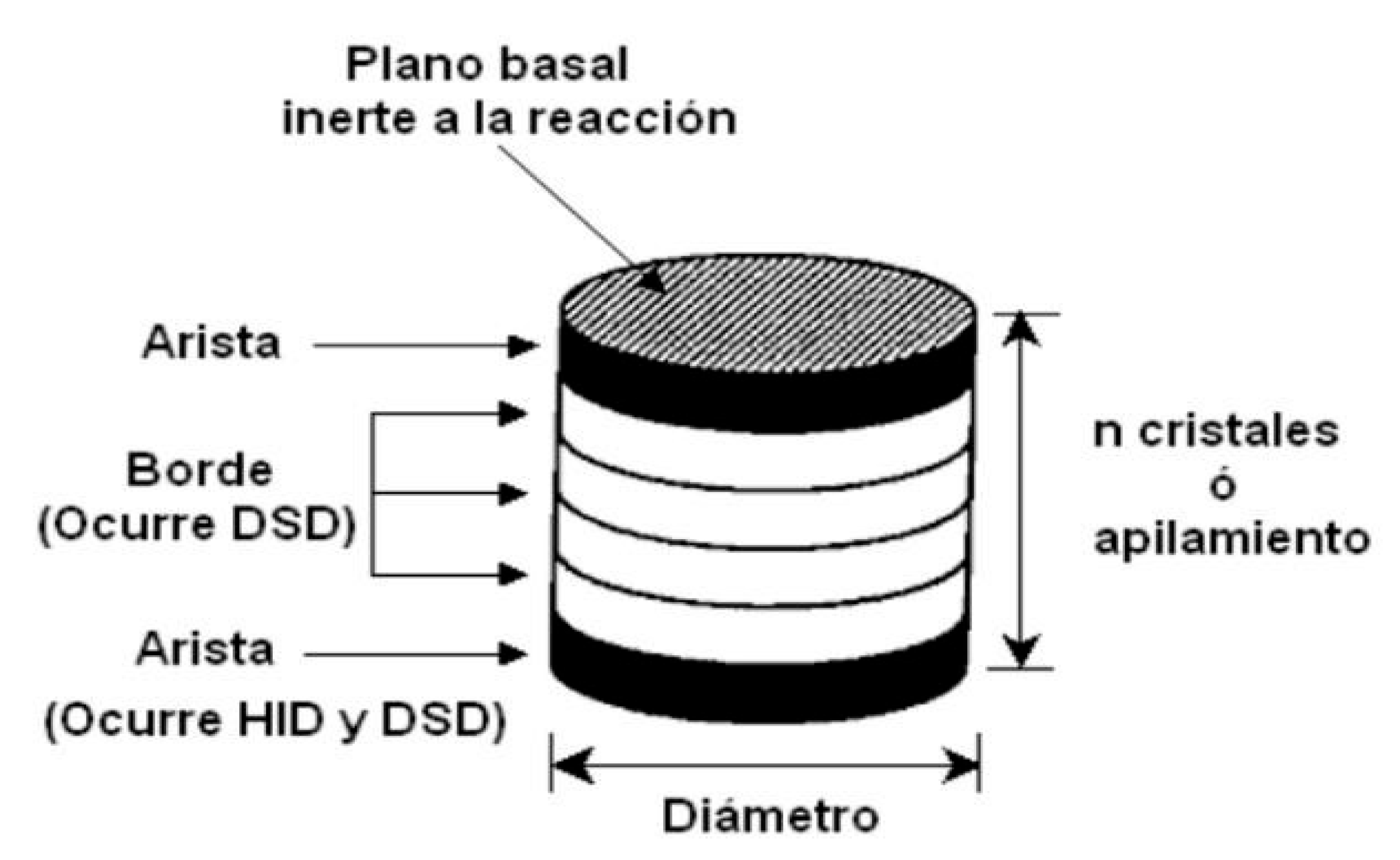 Preprints 166105 g010