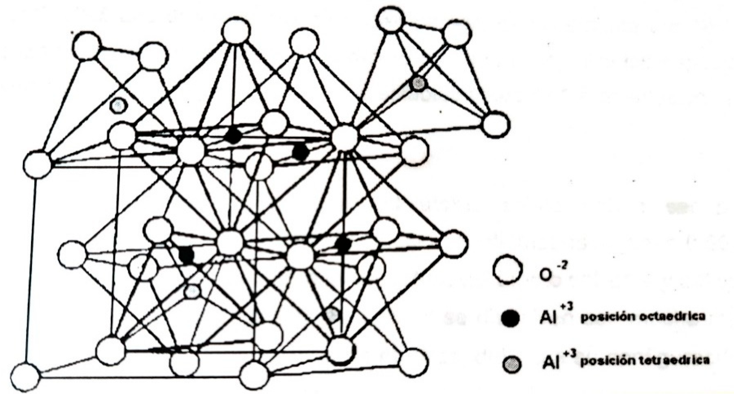 Preprints 166105 g012
