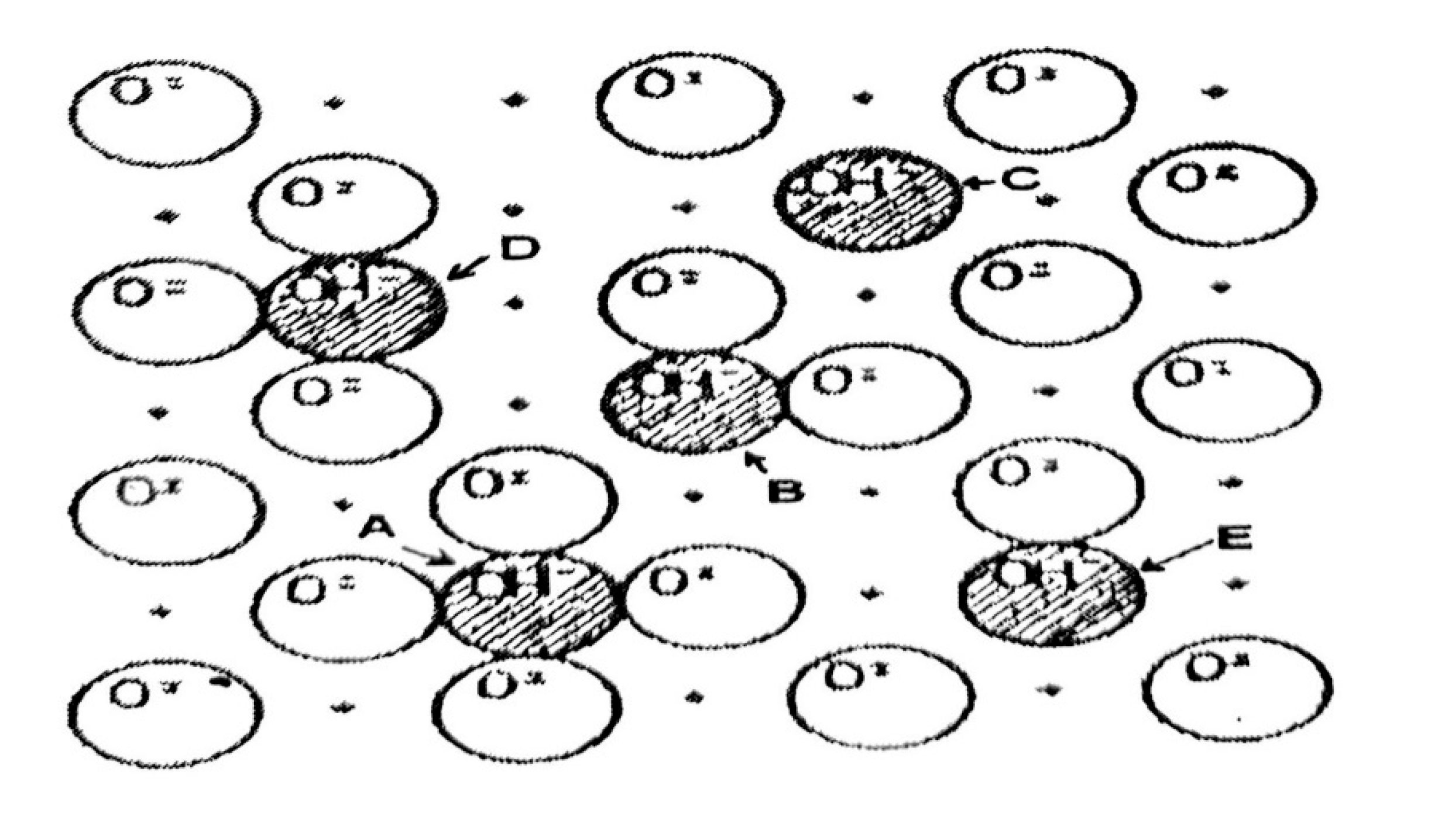 Preprints 166105 g015