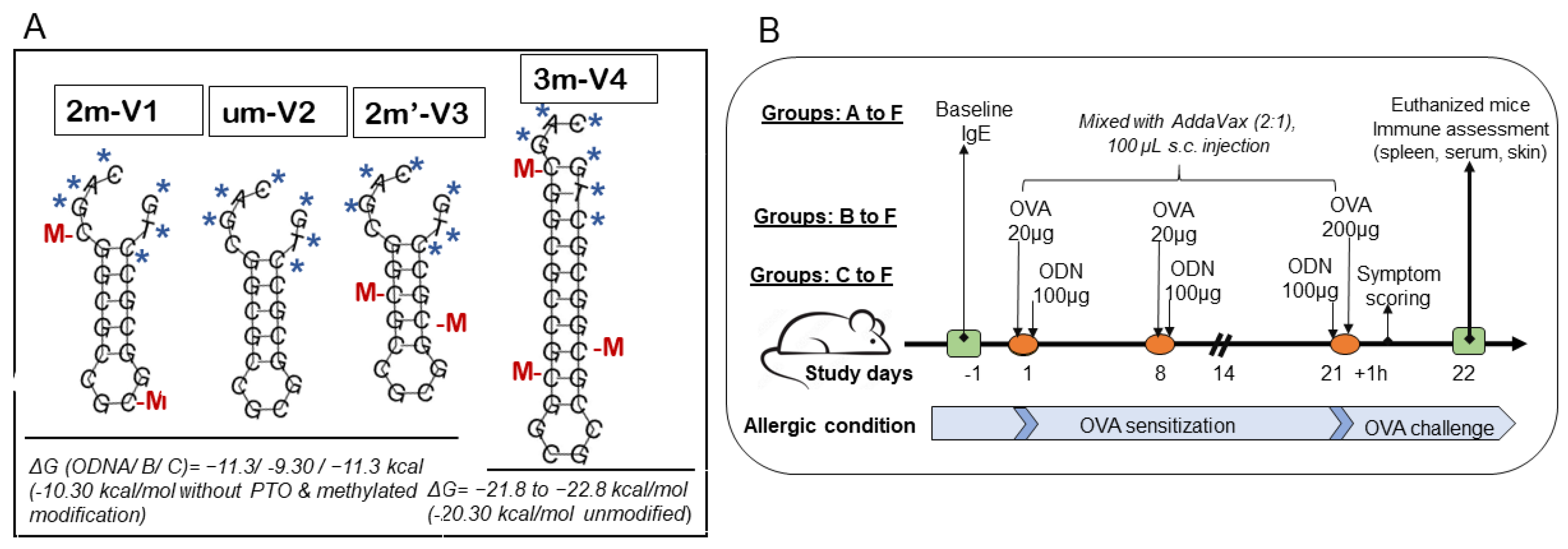 Preprints 164438 g001