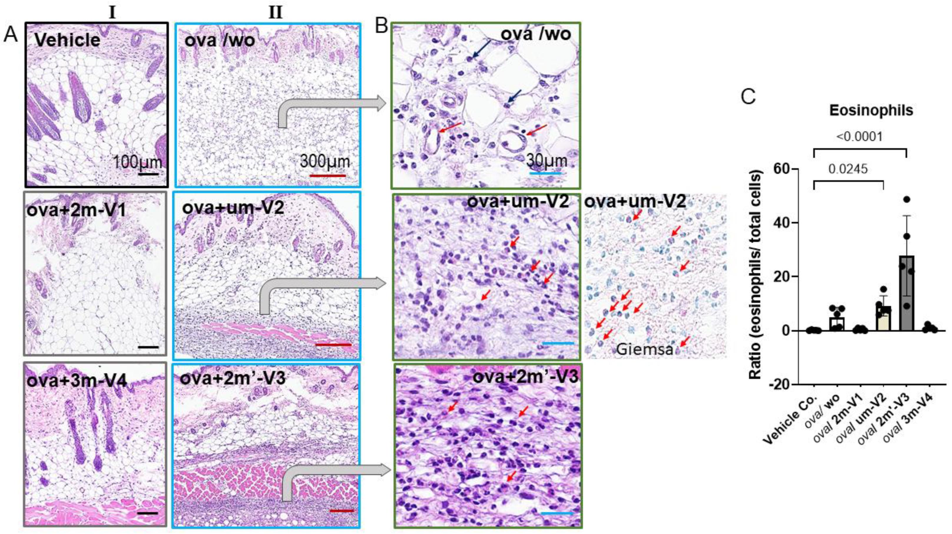 Preprints 164438 g006