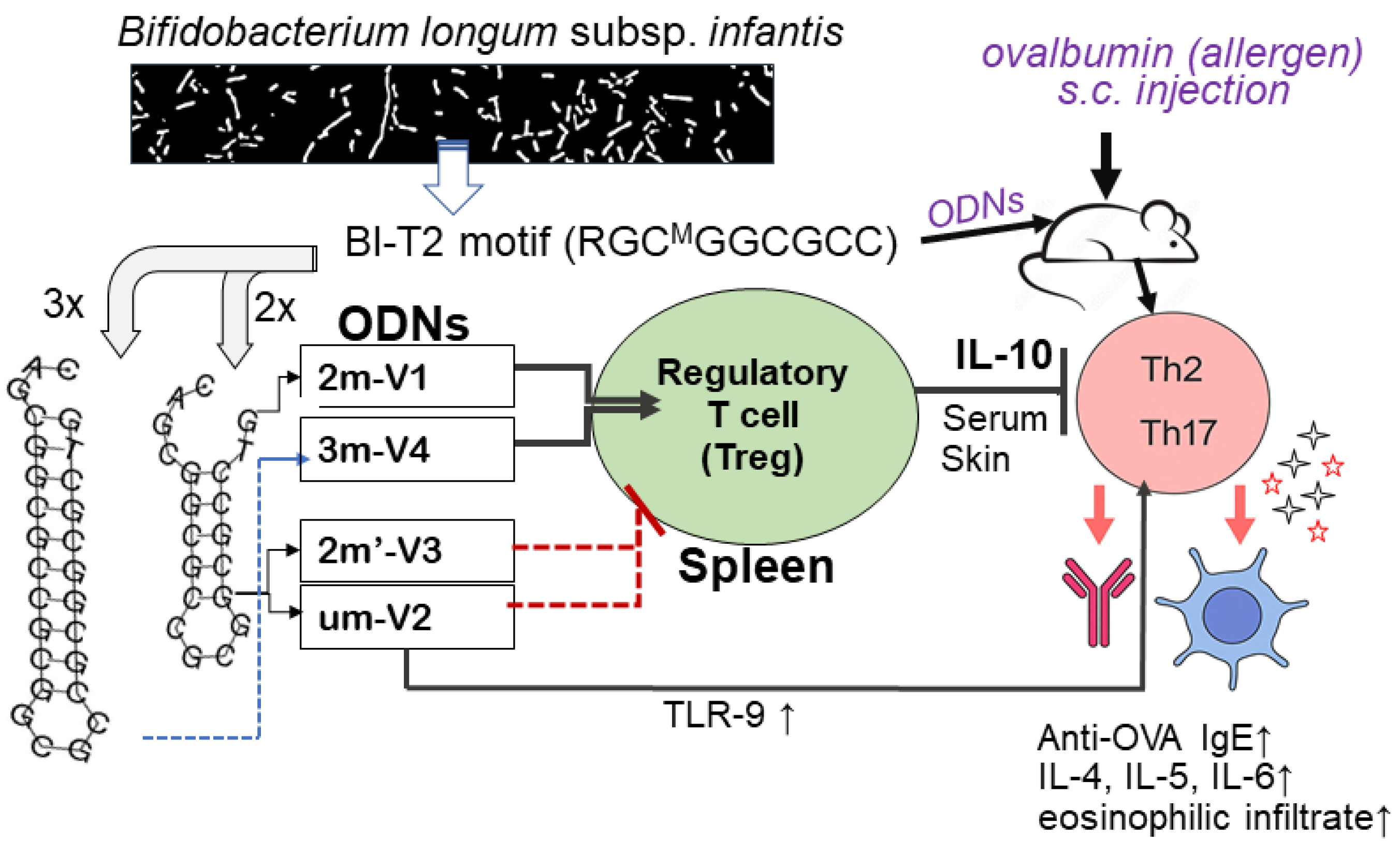 Preprints 164438 g008