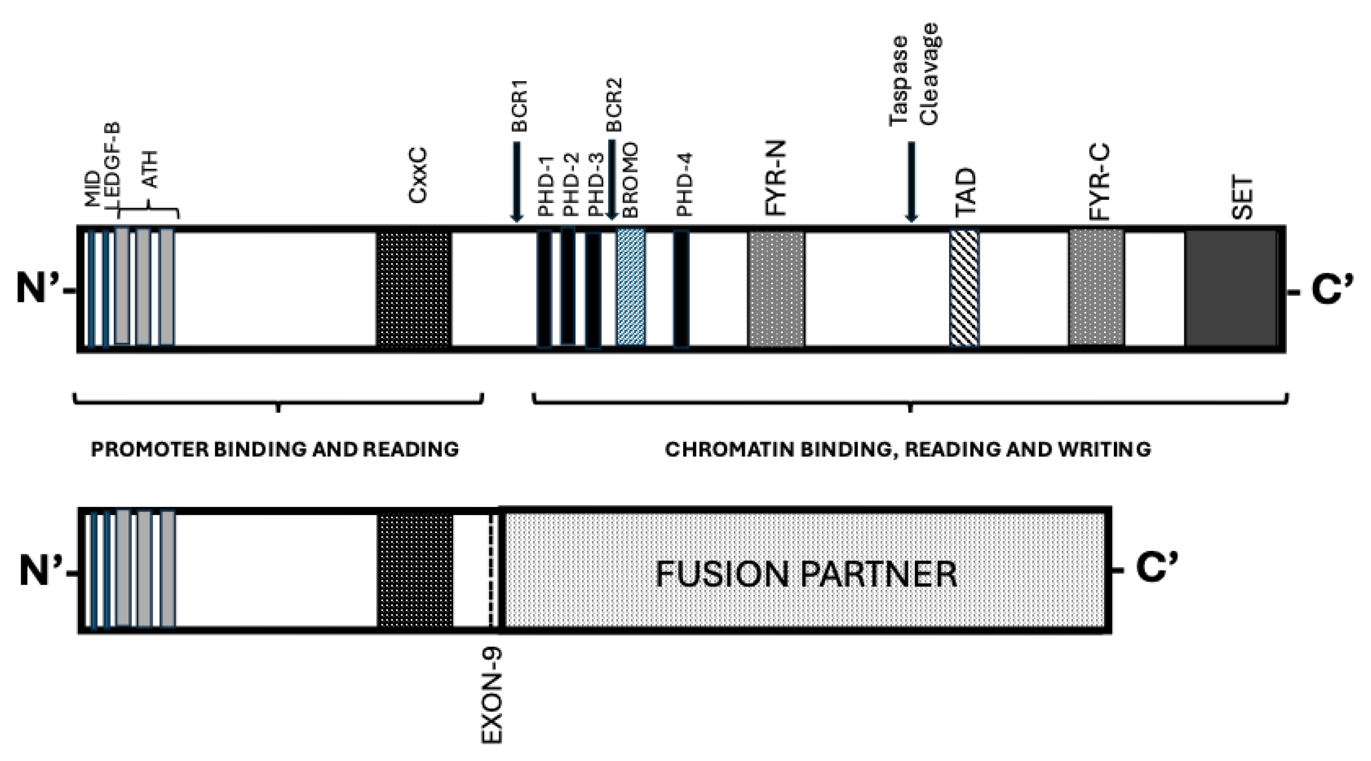 Preprints 204154 g001