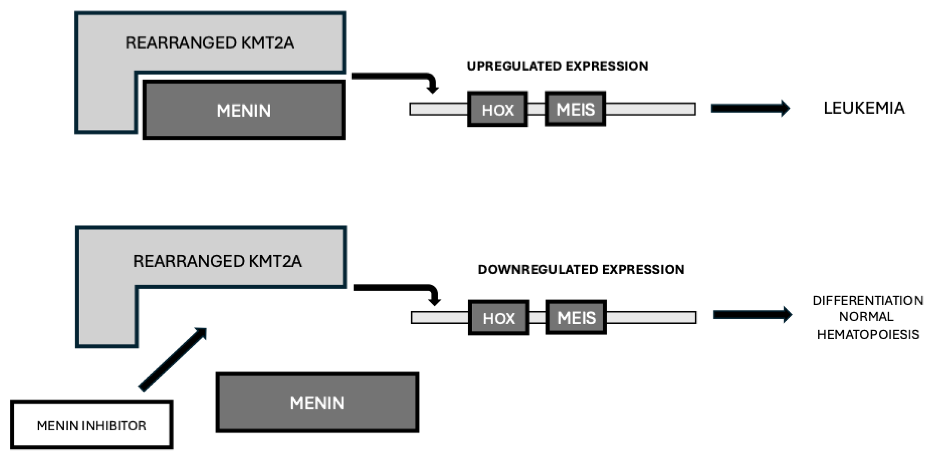 Preprints 204154 g003