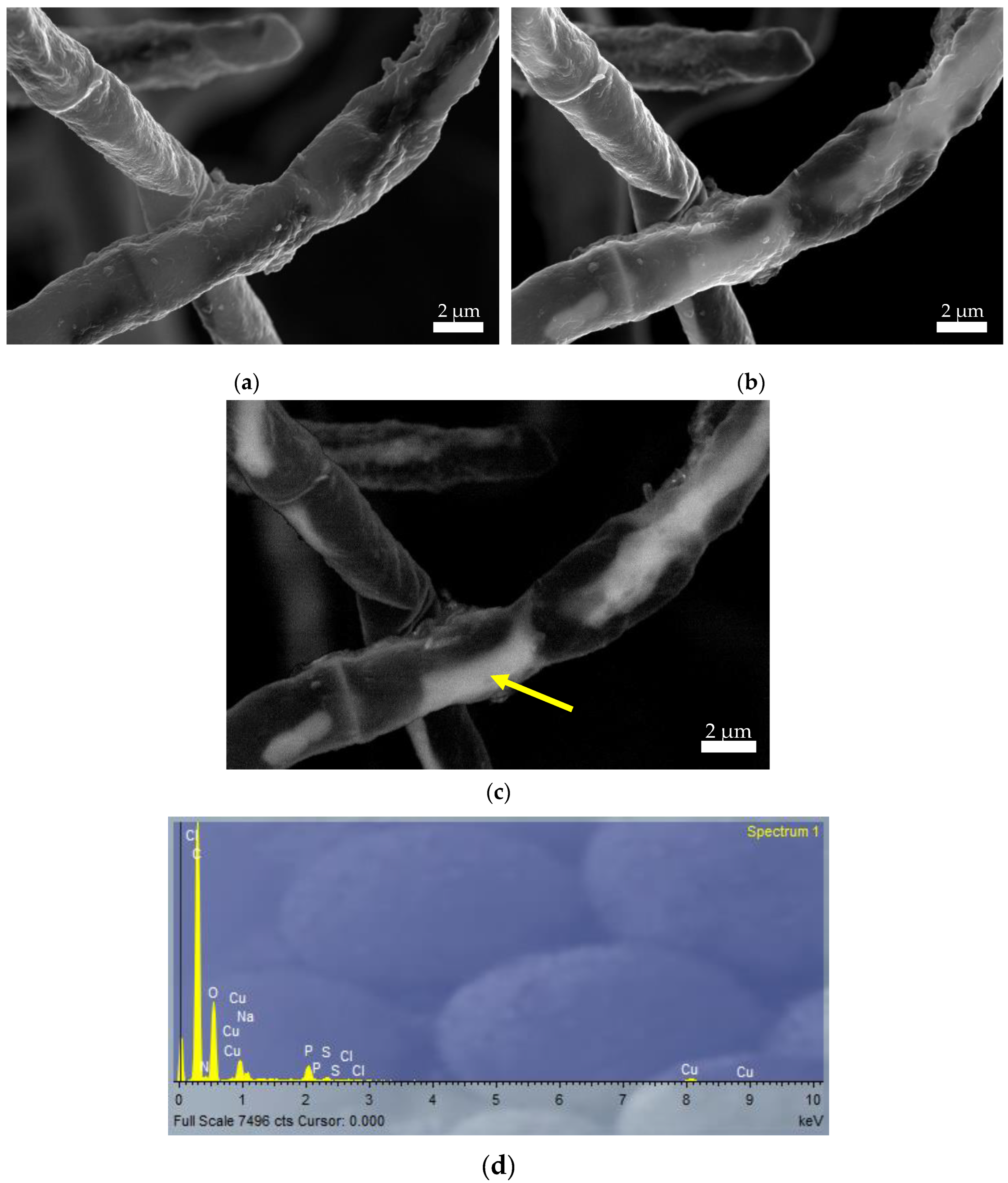 Preprints 138730 g004