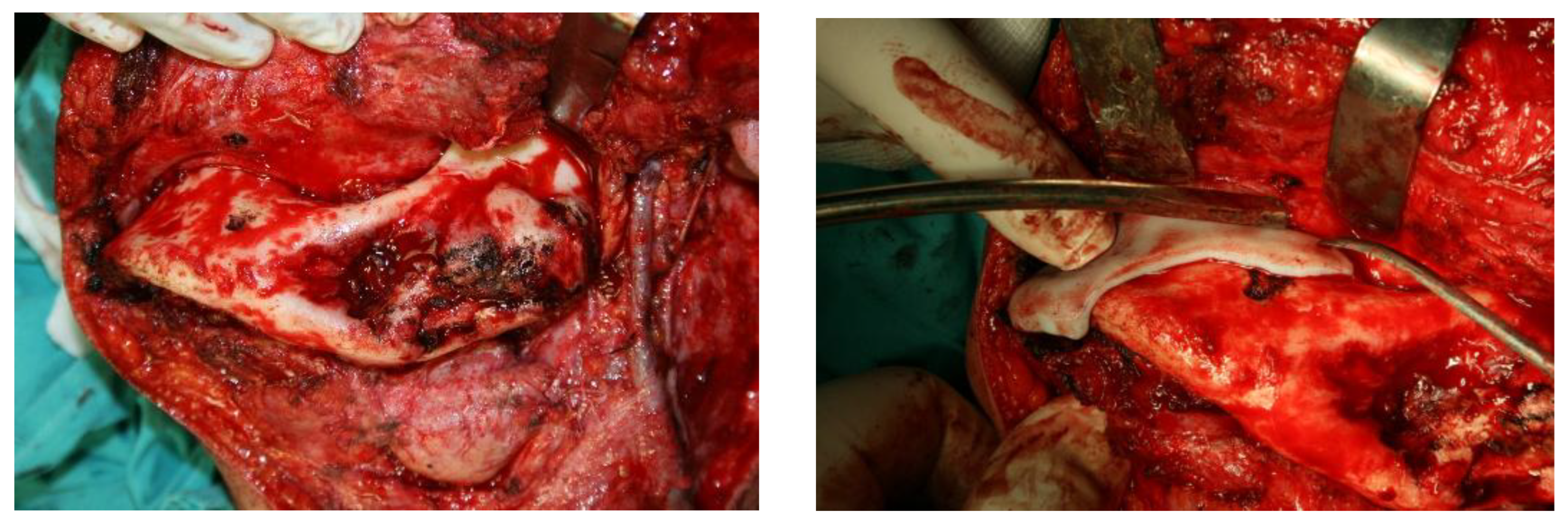 Preprints 160545 g008