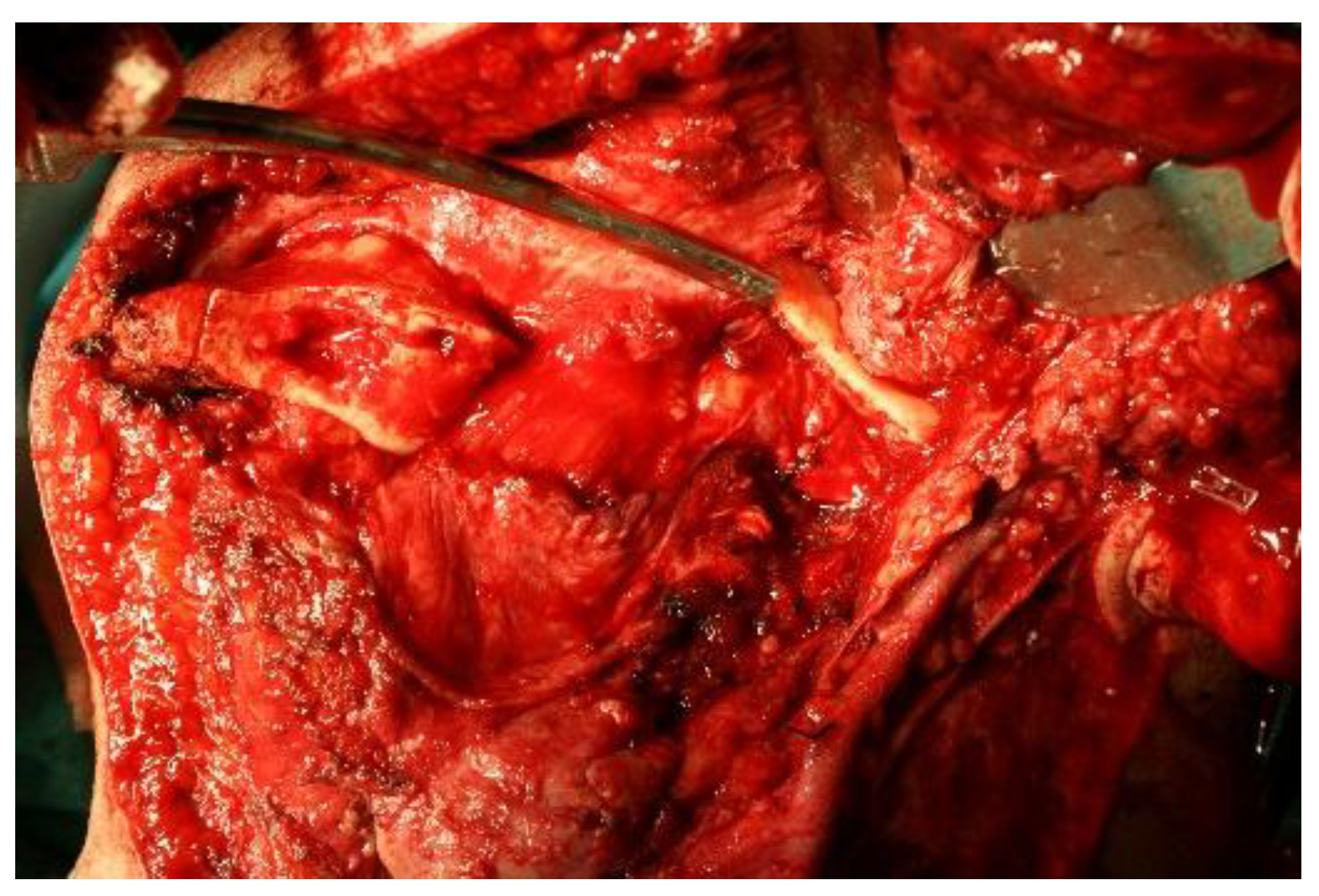 Preprints 160545 g009