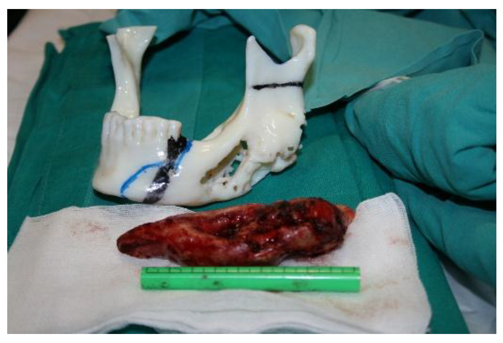 Preprints 160545 g010